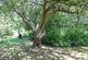 Additional image 23 of Hastings Road, Battle, TN33