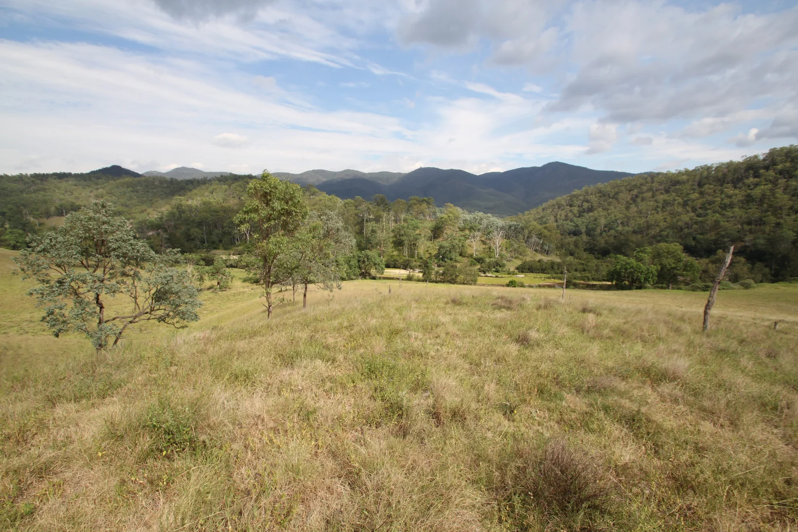 Additional image 11 of 1272 Rocky River Road, Tenterfield NSW 2372