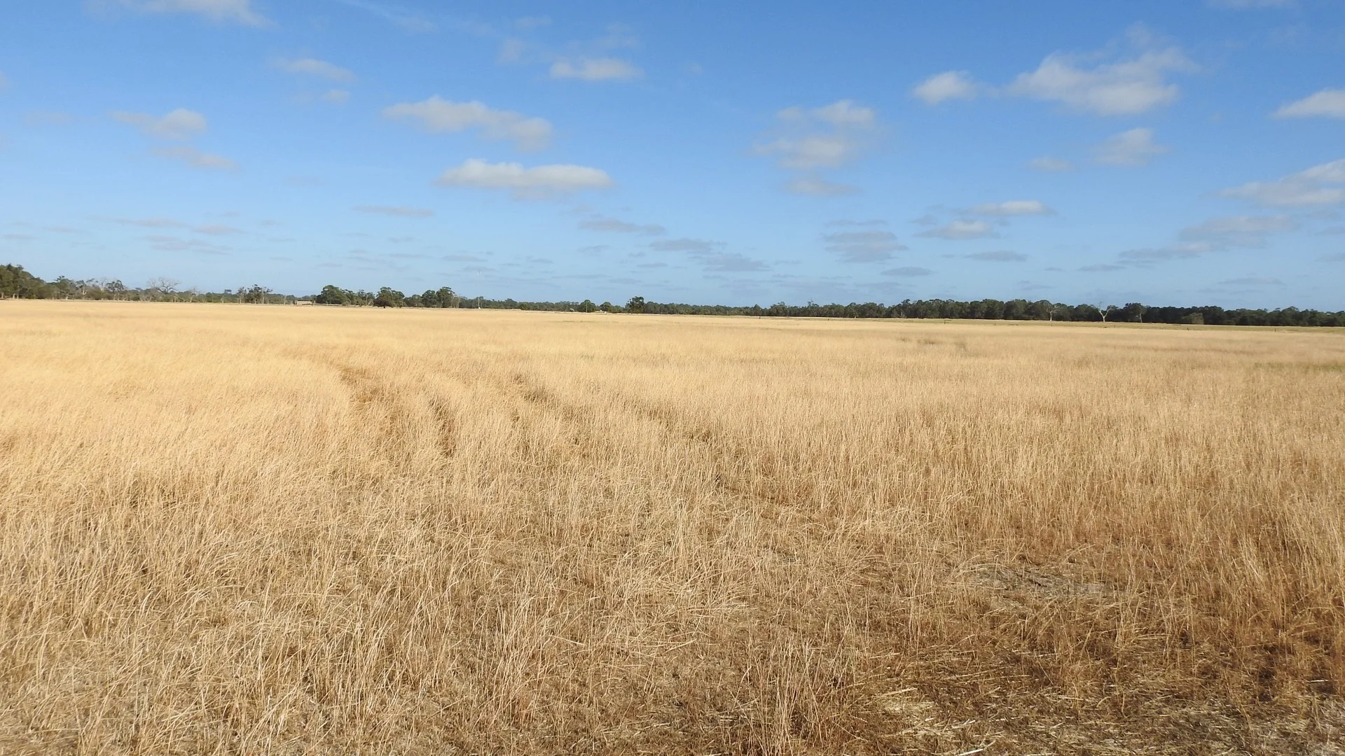 Additional image 4 of Lot 2339 Cnr Edwards & Doyle Road (Ambergate), Busselton WA 6280