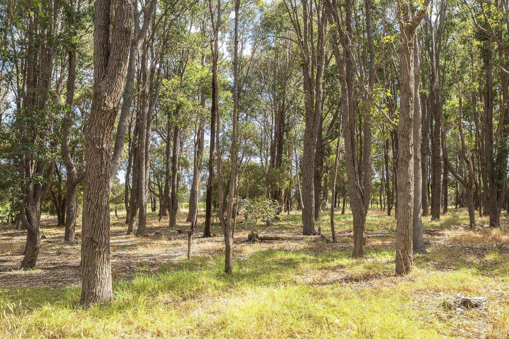 Additional image 14 of 243 Miamup Road, Cowaramup WA 6284