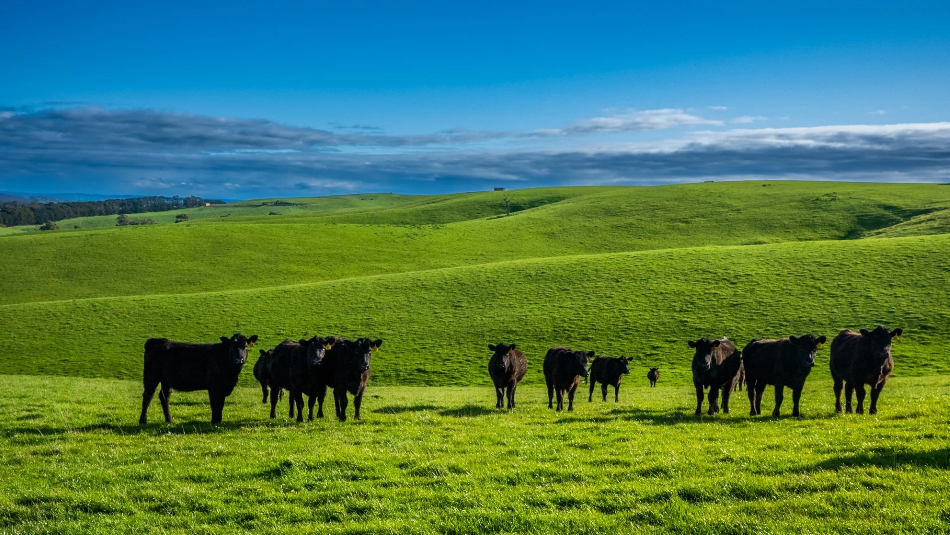 Additional image 3 of Old Sellicks Hill Road, Sellicks Hill SA 5174