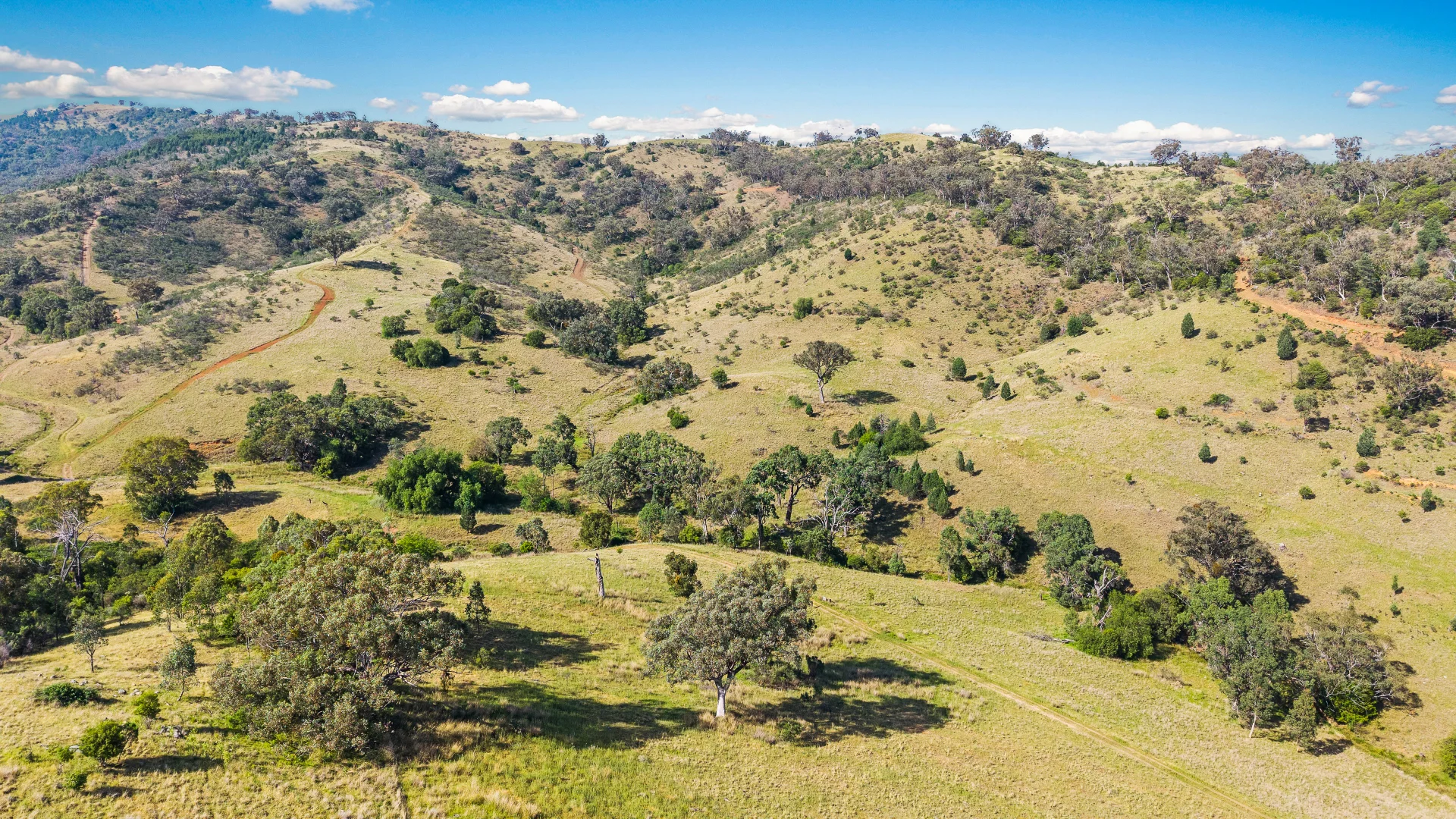 Additional image 15 of "Upper Forest View" 562 Wisemans Arm Road, Attunga NSW 2345