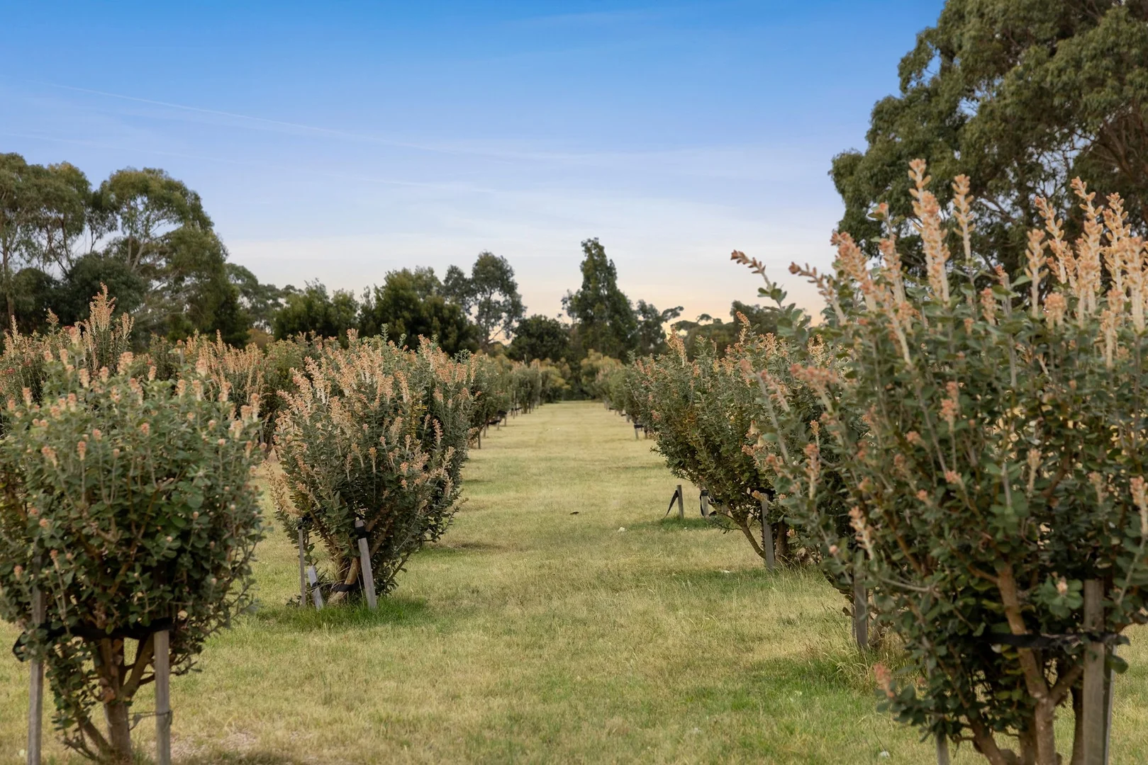 Additional image 16 of 366 Savage Hill Road, Dereel VIC 3352