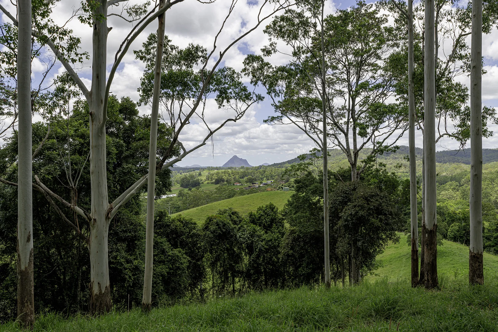 Additional image 47 of 492 River Road, Peachester QLD 4519