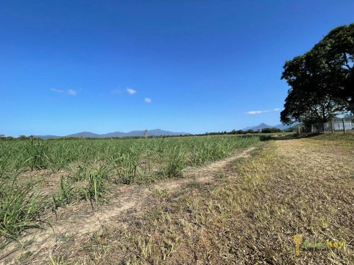 Additional image 3 of 45 Thomson Road, Edmonton QLD 4869