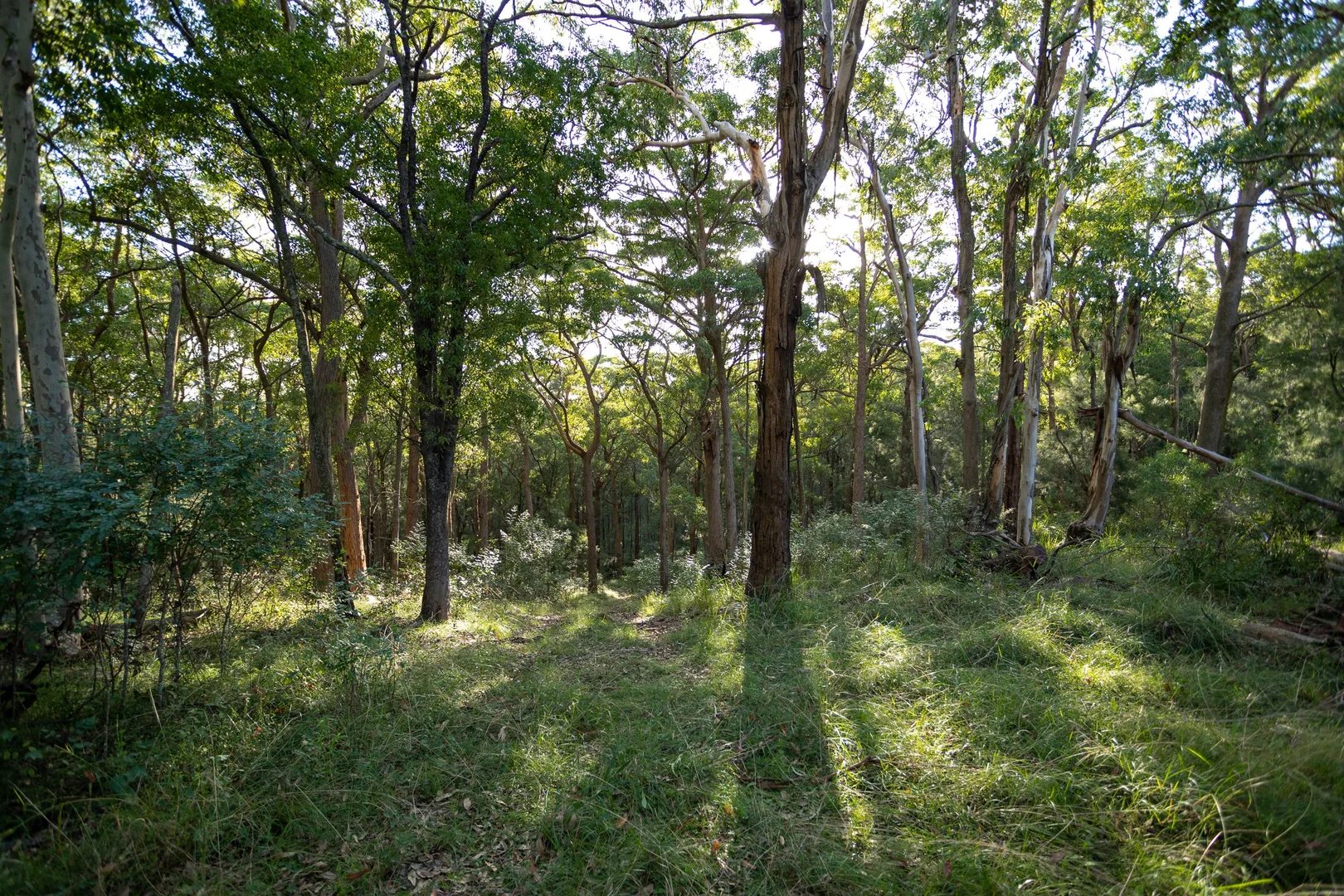 Additional image 4 of 706 MOONABUNG ROAD, Vacy NSW 2421