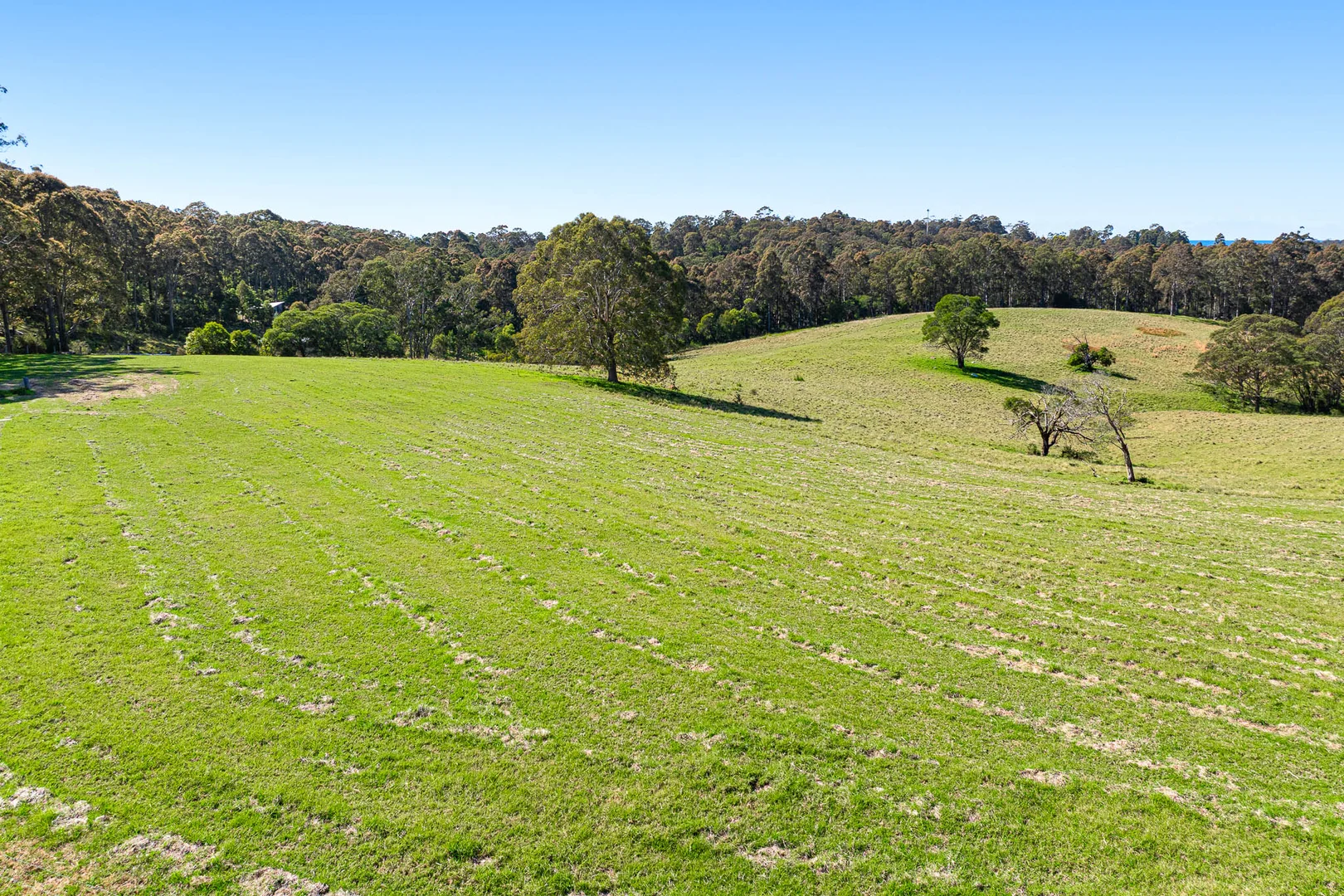 Additional image 13 of 79 Wagonga Scenic Drive, Narooma NSW 2546