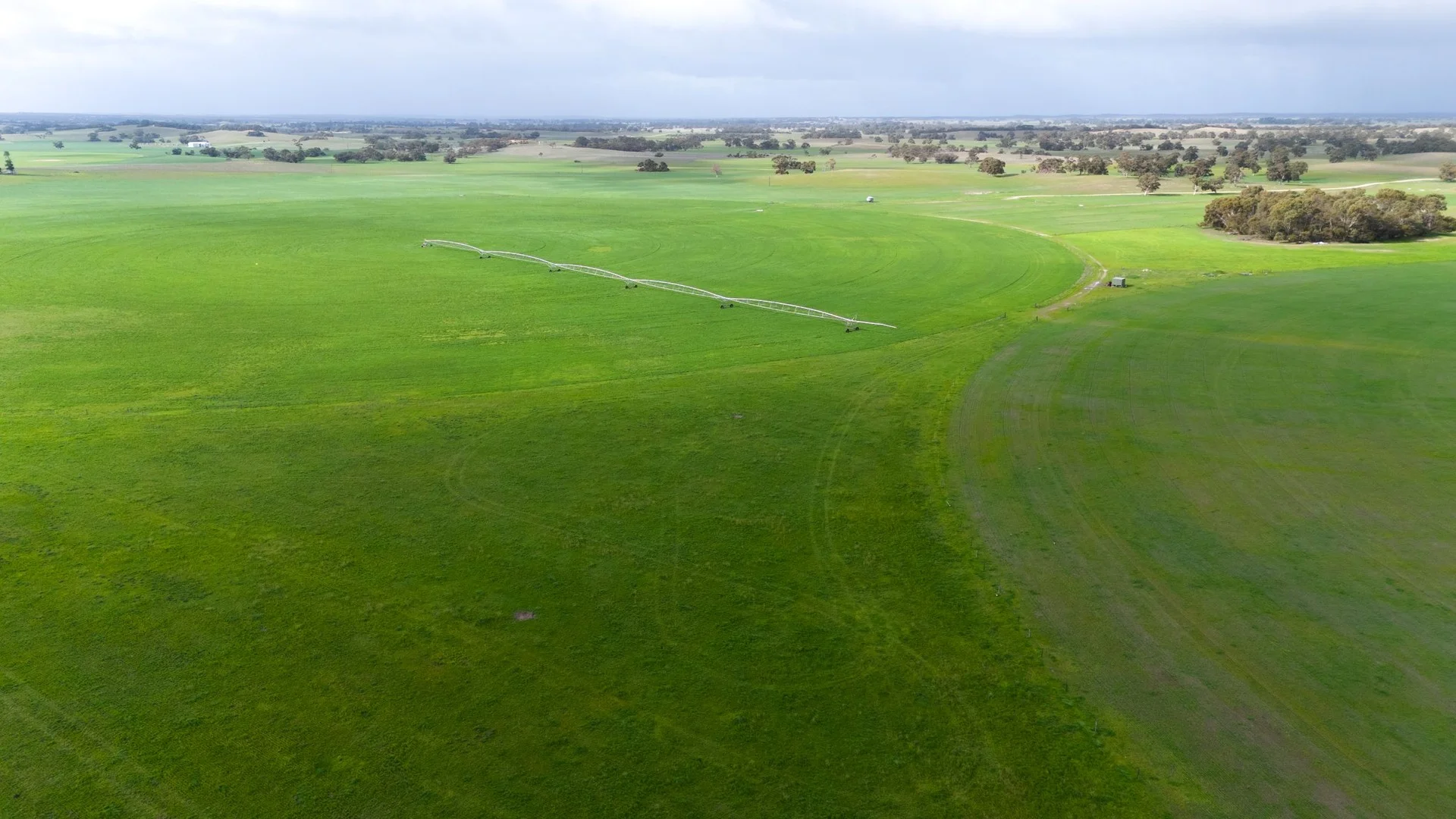 8 Coombe Road, Tintinara SA 5266