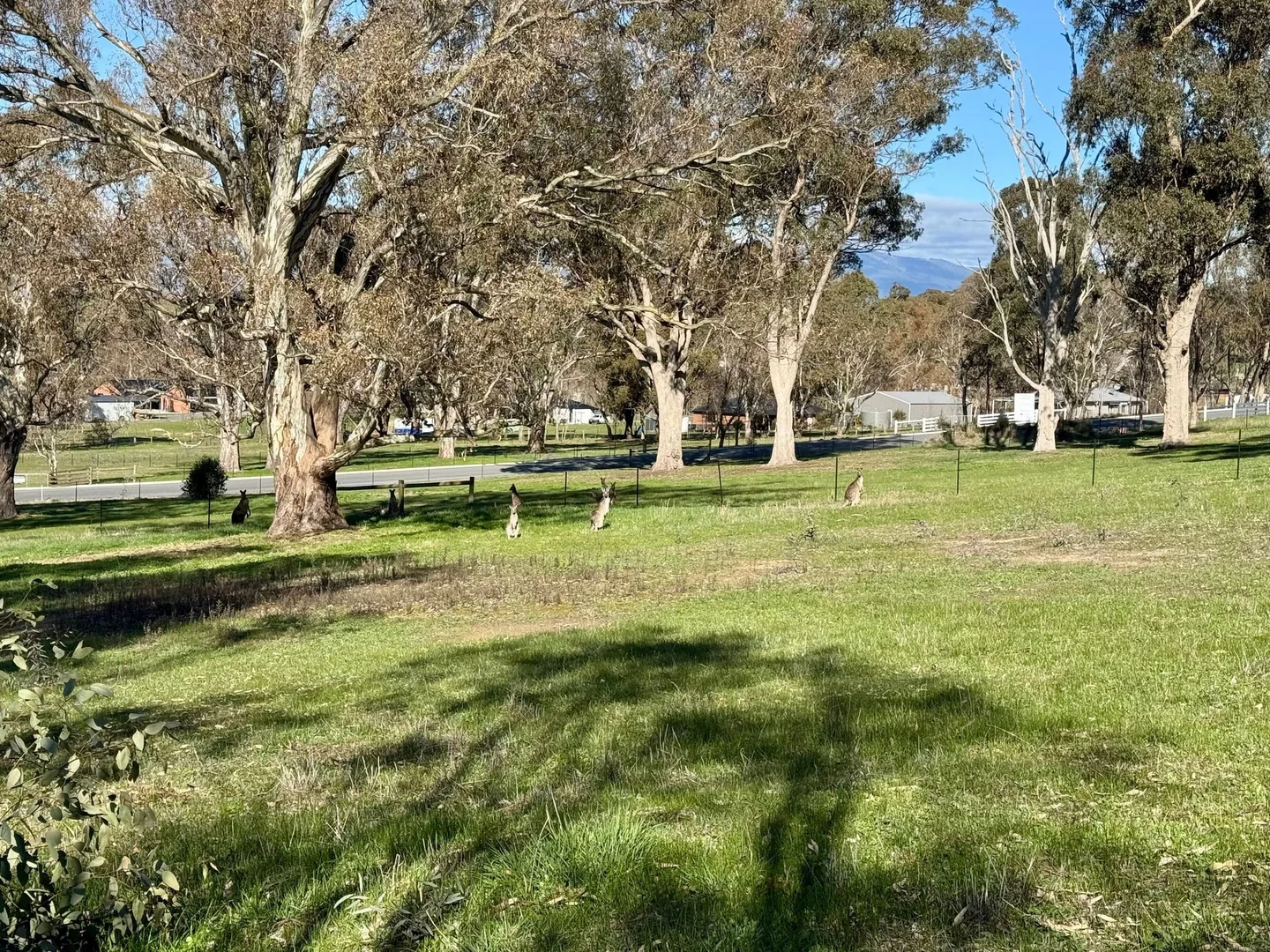 Additional image 7 of 25 Bainbridge Way, Alexandra VIC 3714