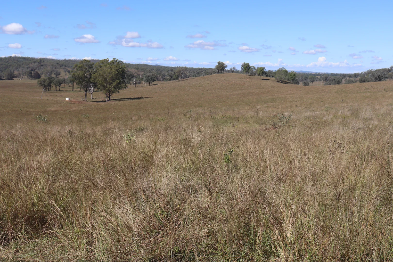 Additional image 4 of 789 Coppin Road, Mungungo QLD 4630