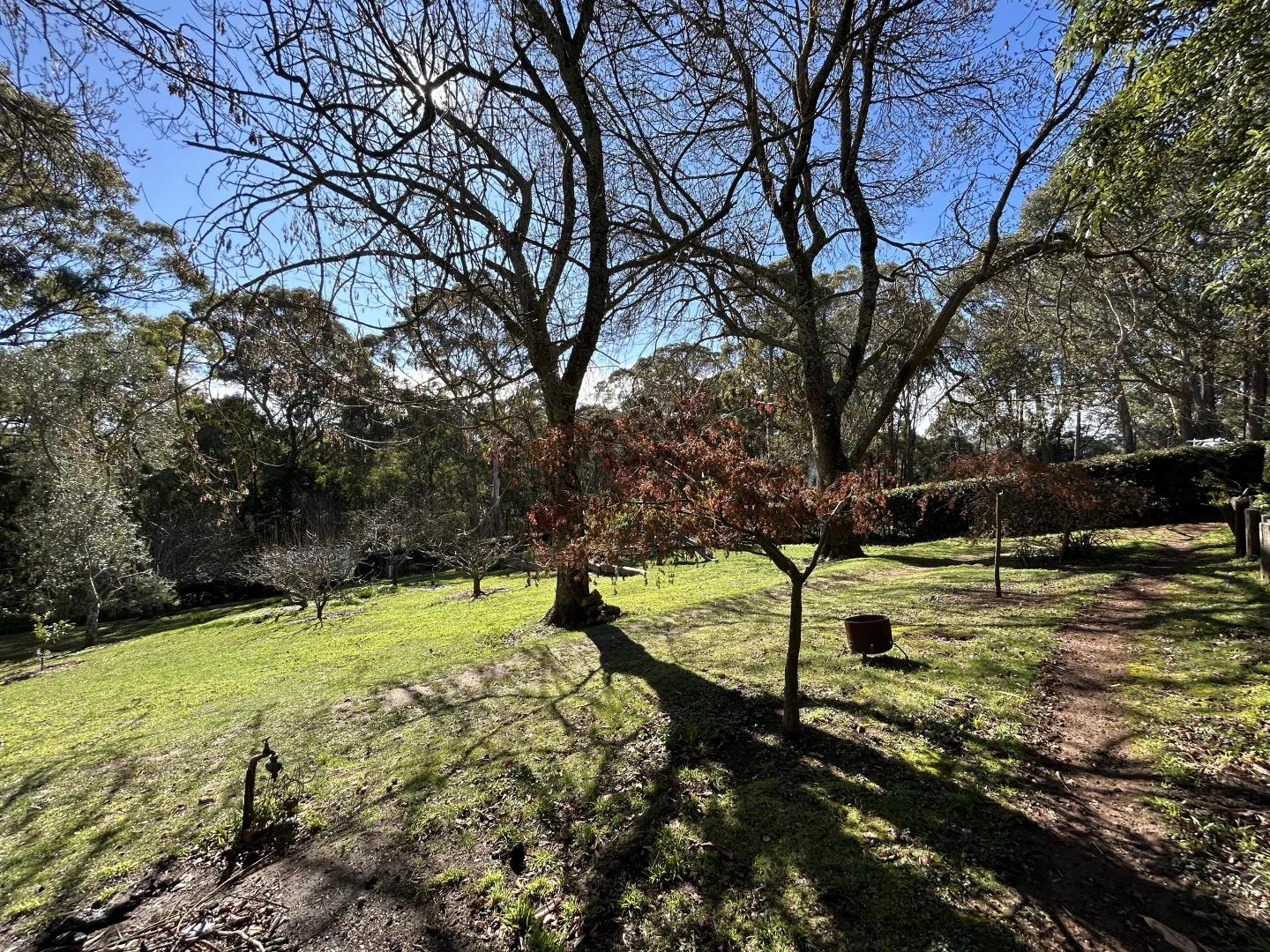 Additional image 29 of 1534 Mount Macedon Road Macedon, Macedon VIC 3440