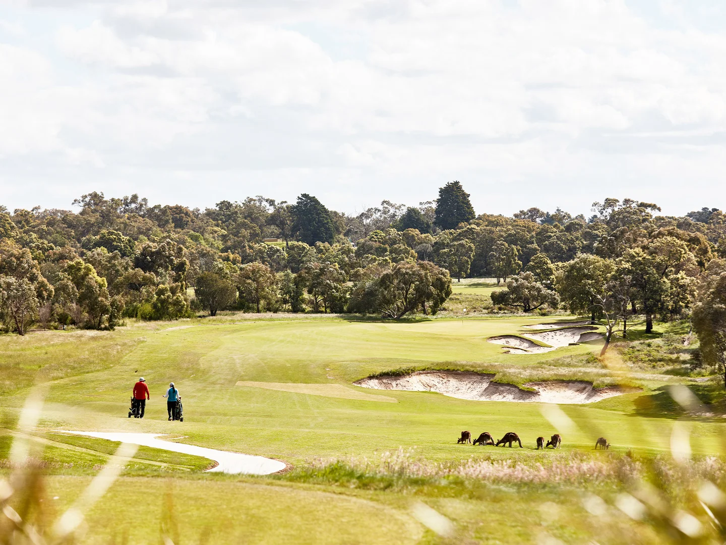 Additional image 3 of Lot 2532 Bayport Drive, Botanic Ridge VIC 3977