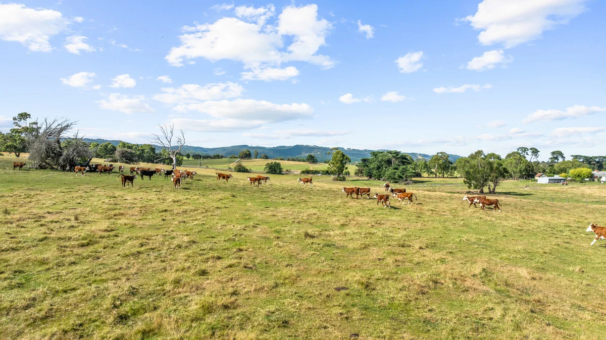 Additional image 4 of 191 Boldings Road, Hazelwood North VIC 3840