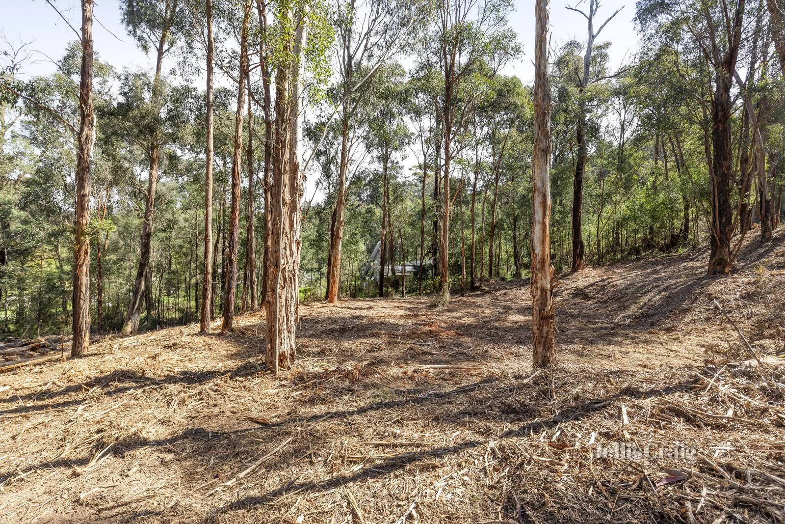 Additional image 6 of 37 Silver Parrot Road, Flowerdale VIC 3717