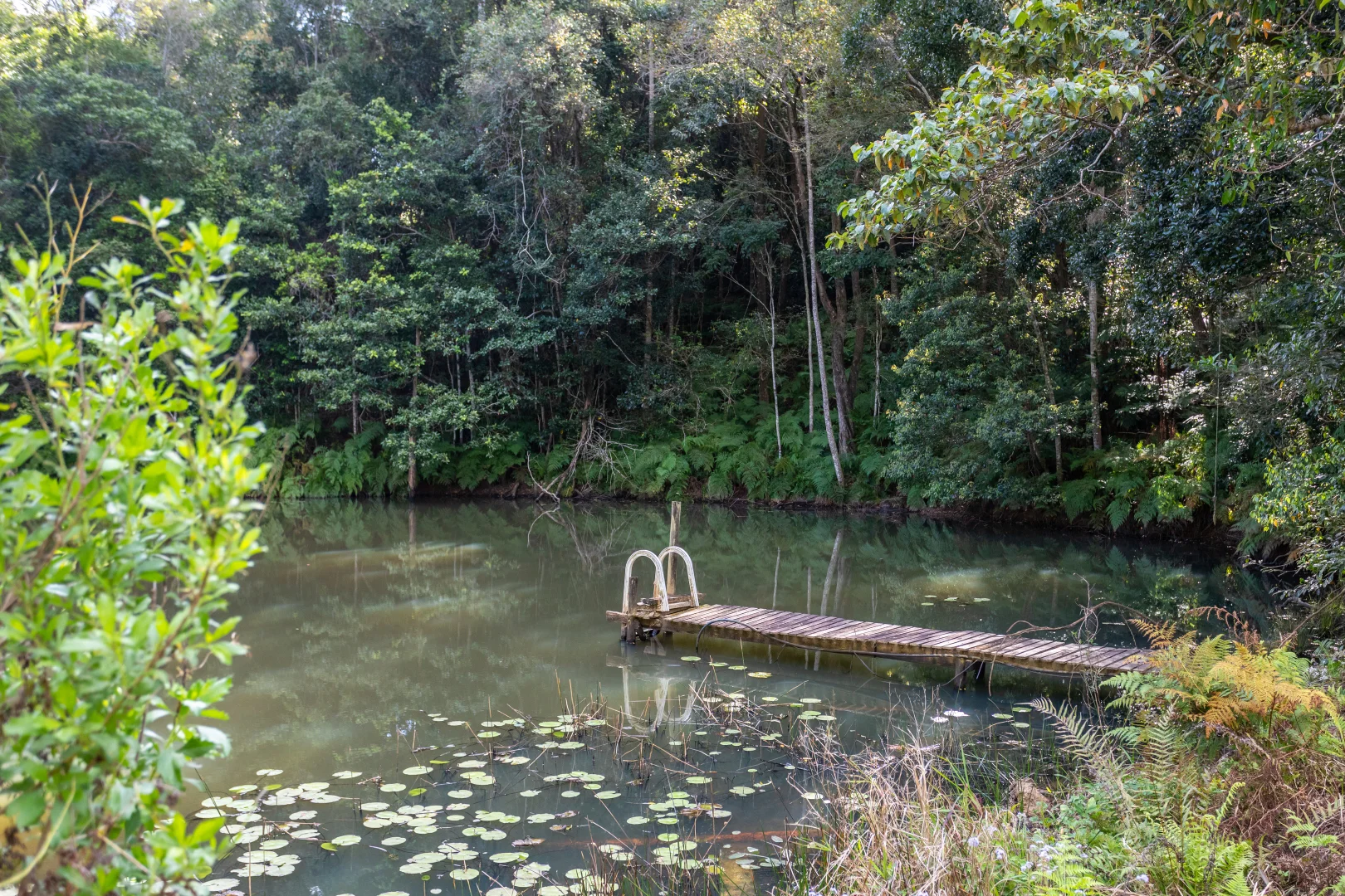 Additional image 20 of 686 Pomona Kin Kin Road, Kin Kin QLD 4571