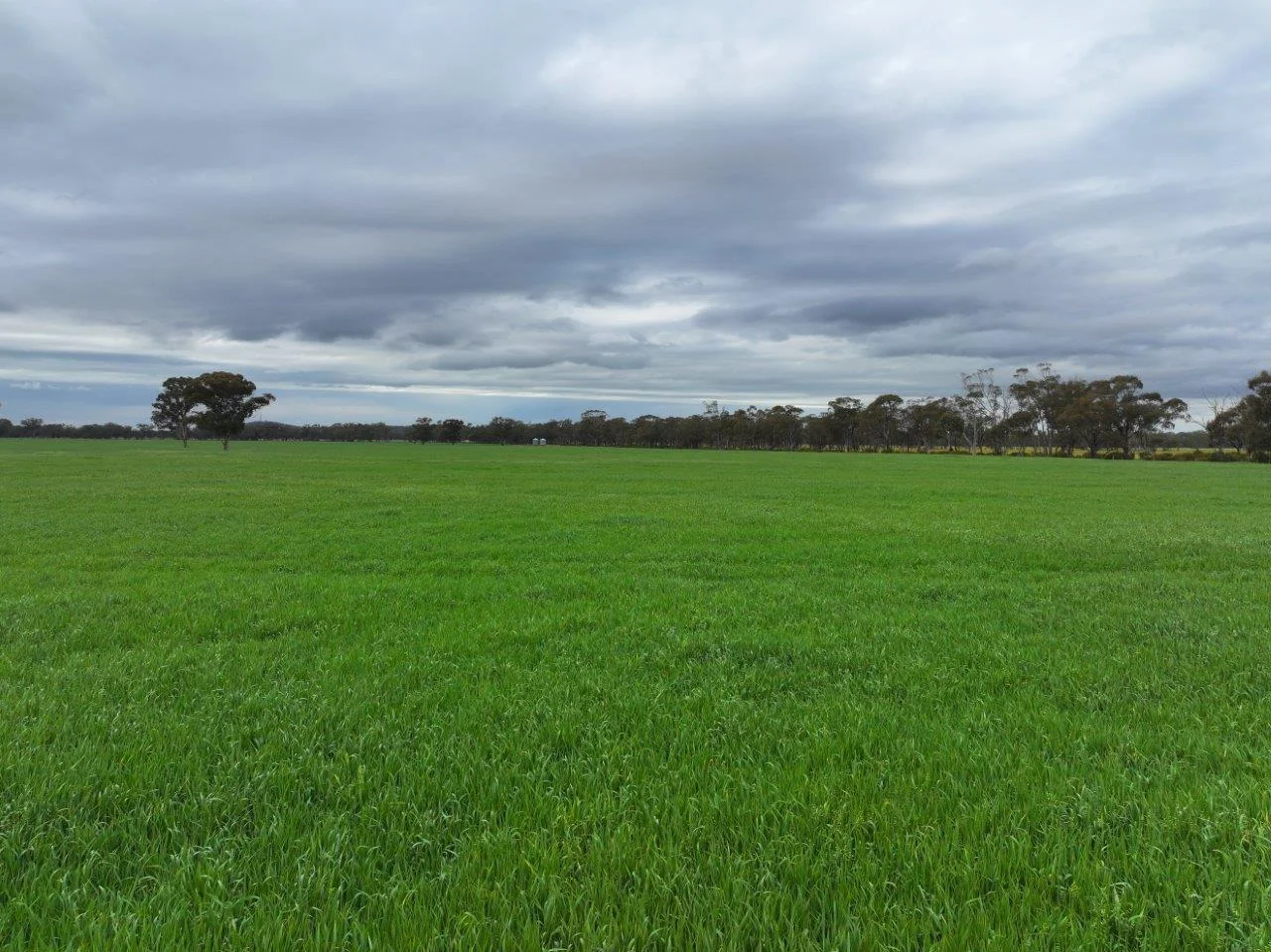 Additional image 15 of -- Brenanah-Kurting Road, Kurting VIC 3517