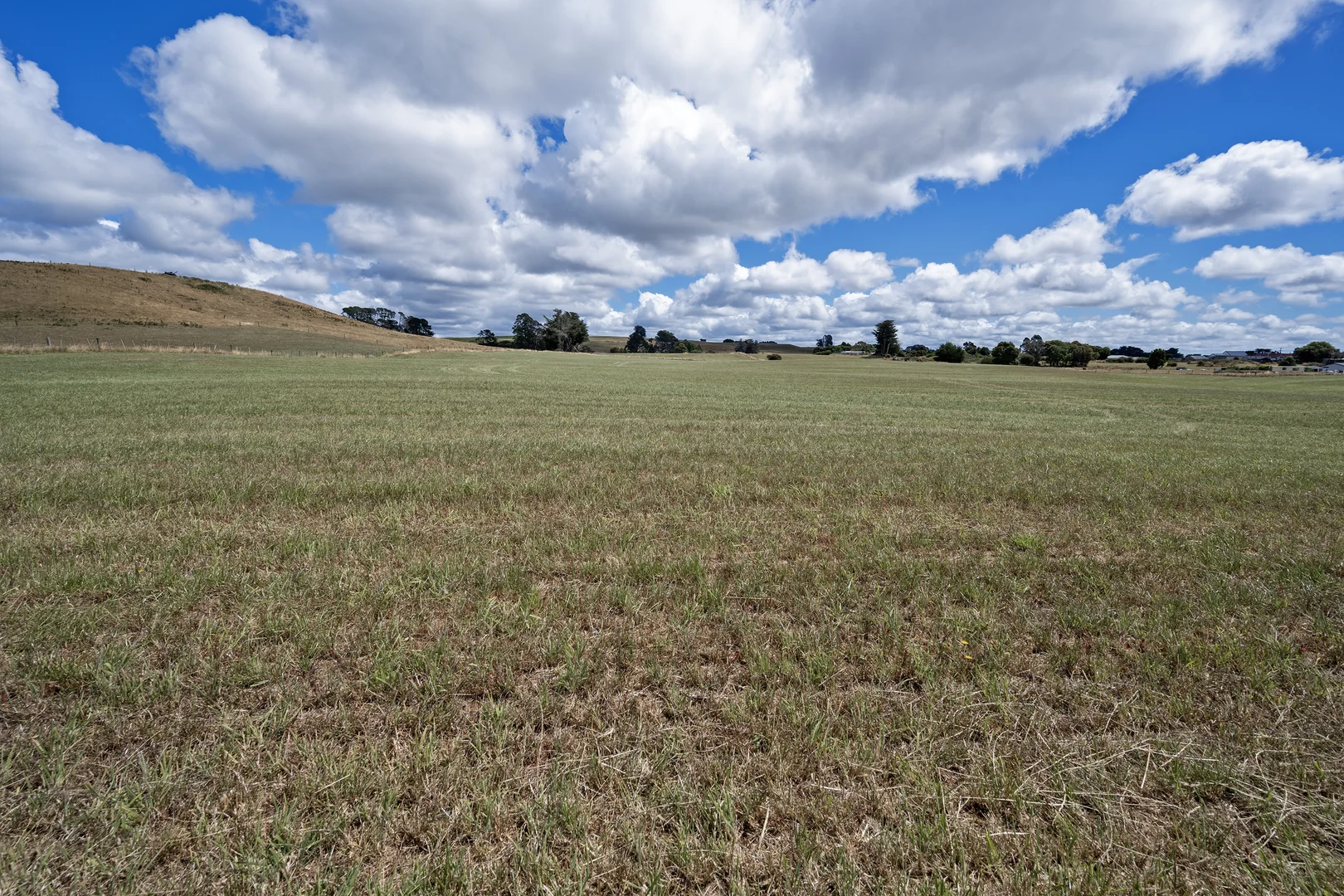 Additional image 5 of Yolla TAS 7325