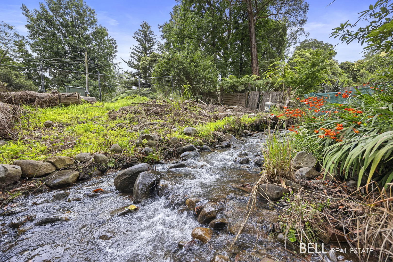 Additional image 4 of 53 Wonga Road, Millgrove VIC 3799