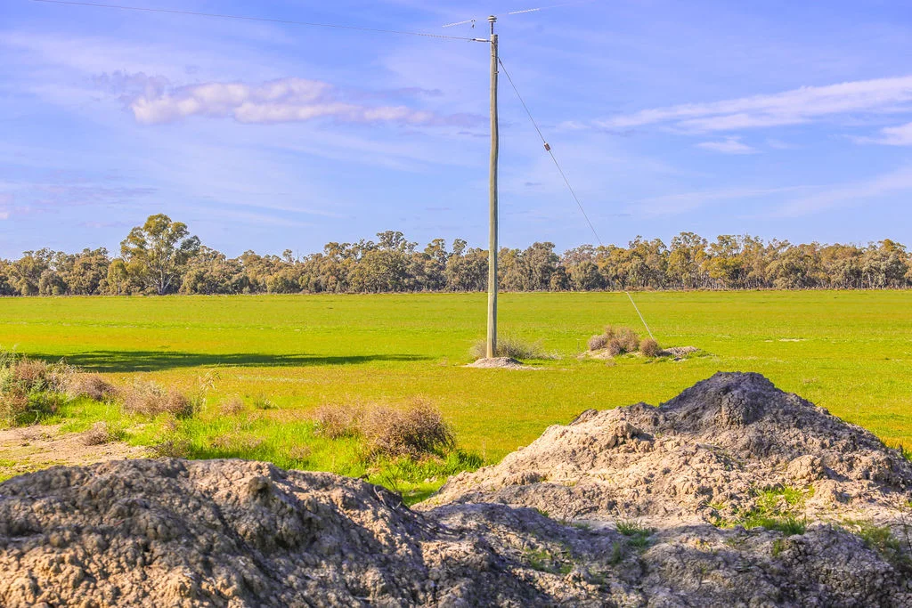 Additional image 13 of 'Wetuppa' 245 Fisher Lane, Wetuppa NSW 2734