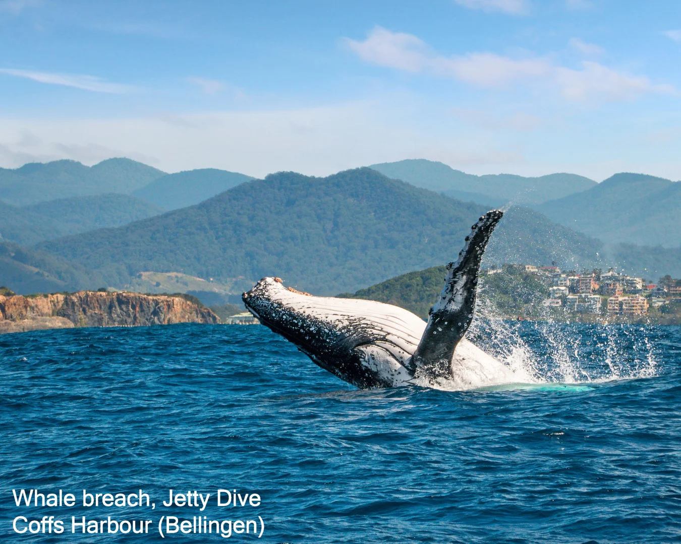 Additional image 39 of 259 Kalang Road, Bellingen NSW 2454