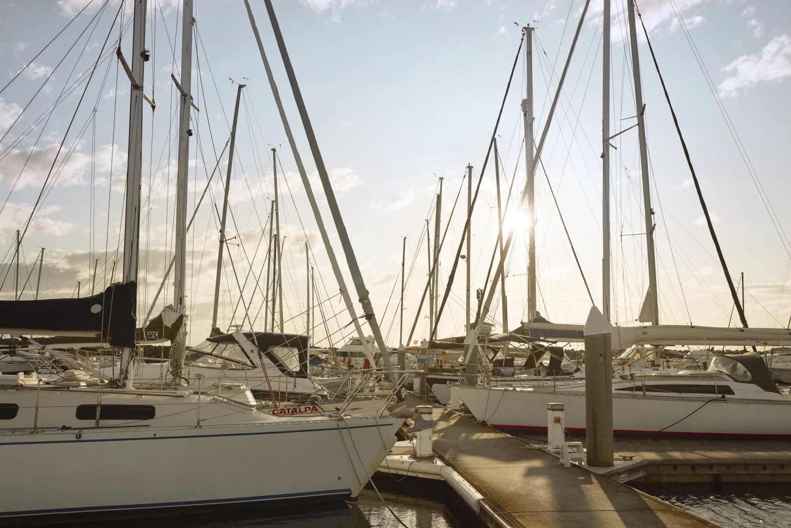 Additional image 9 of 27 HARTLEY STREET, Brighton VIC 3186