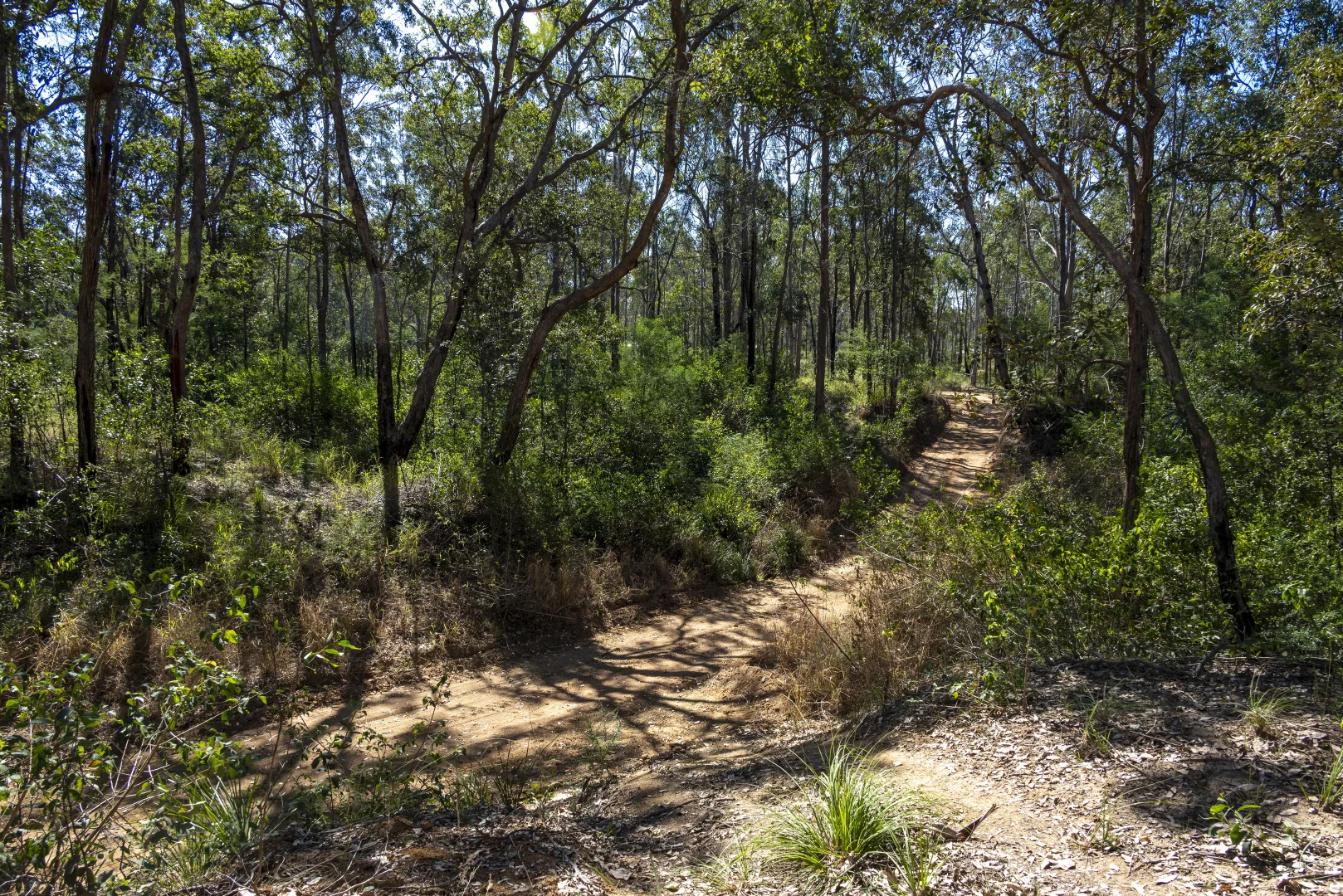Additional image 17 of 151 Cameron Road, Taromeo QLD 4314