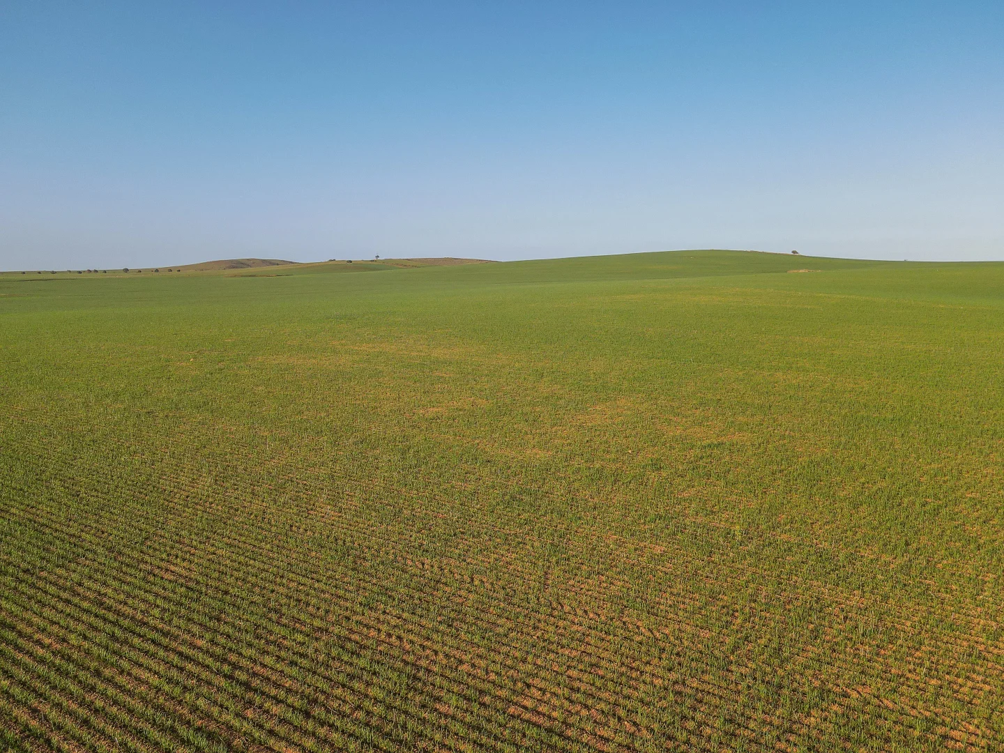 Additional image 19 of 222 Nicholls Rd, Booleroo Centre SA 5482