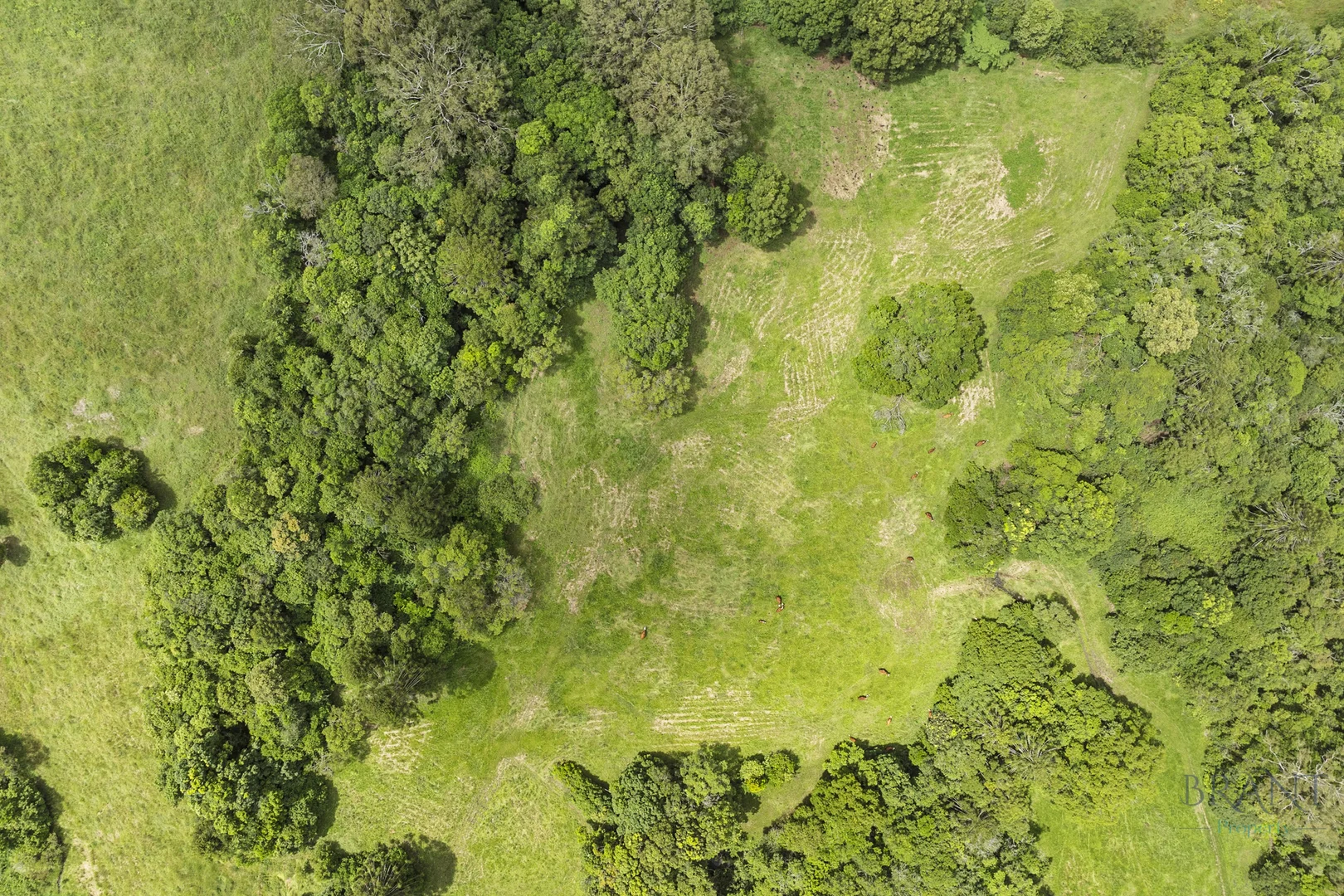 Additional image 19 of Dulong QLD 4560