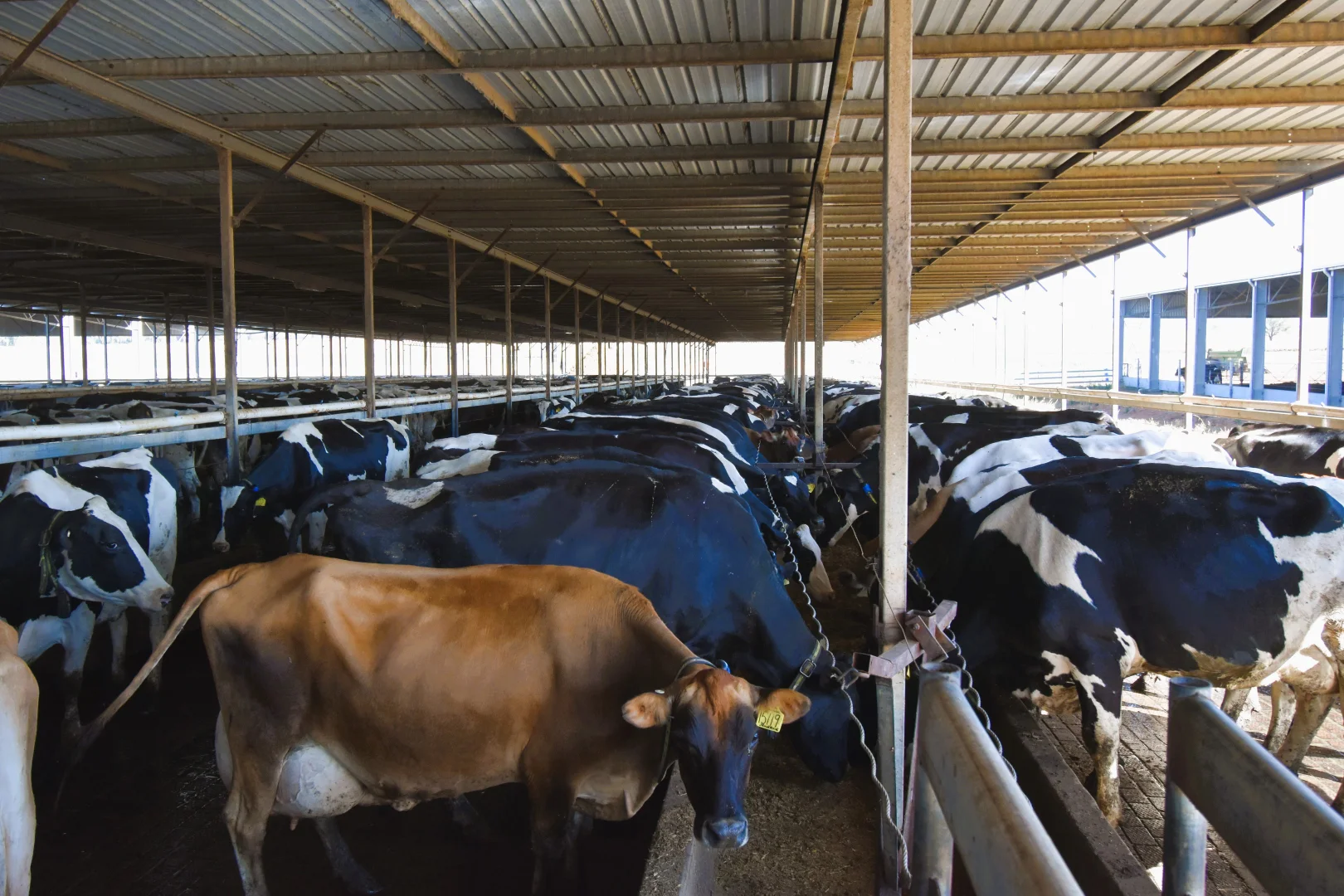 Additional image 20 of 448 Nangar Road, Canowindra NSW 2804