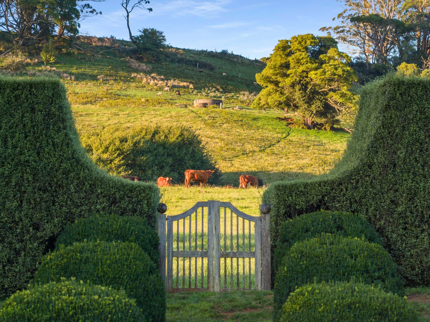 Additional image 33 of 225 Wildes Meadow Road, Wildes Meadow NSW 2577