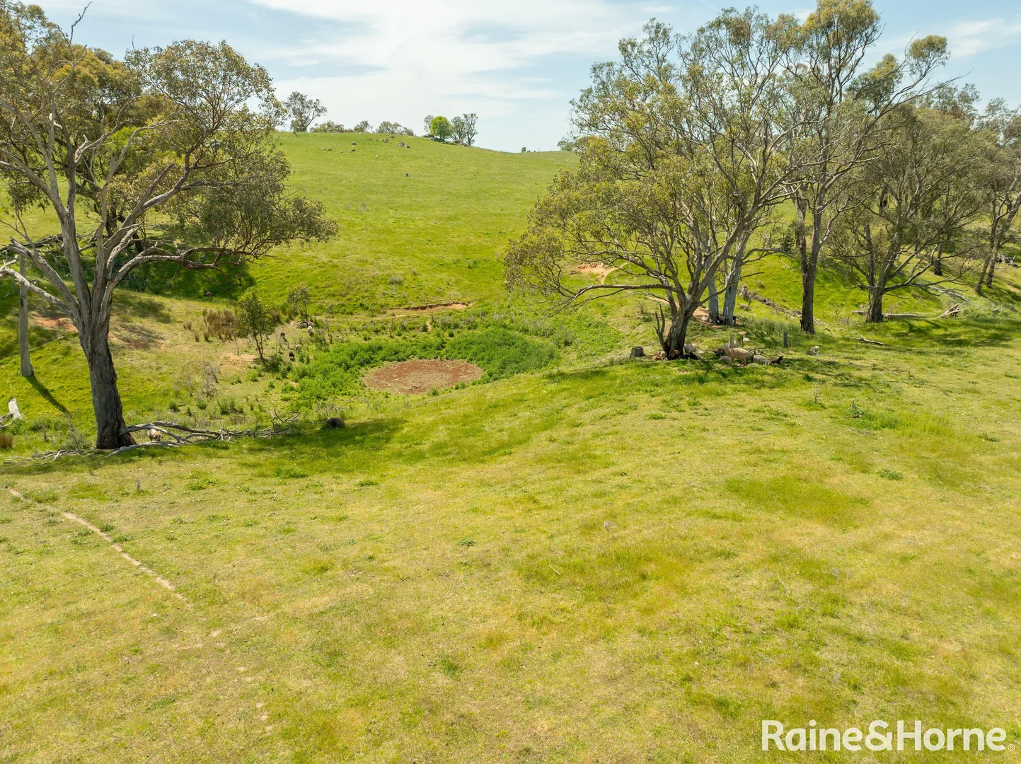 Additional image 5 of 75-84 Crowe Road, Young NSW 2594