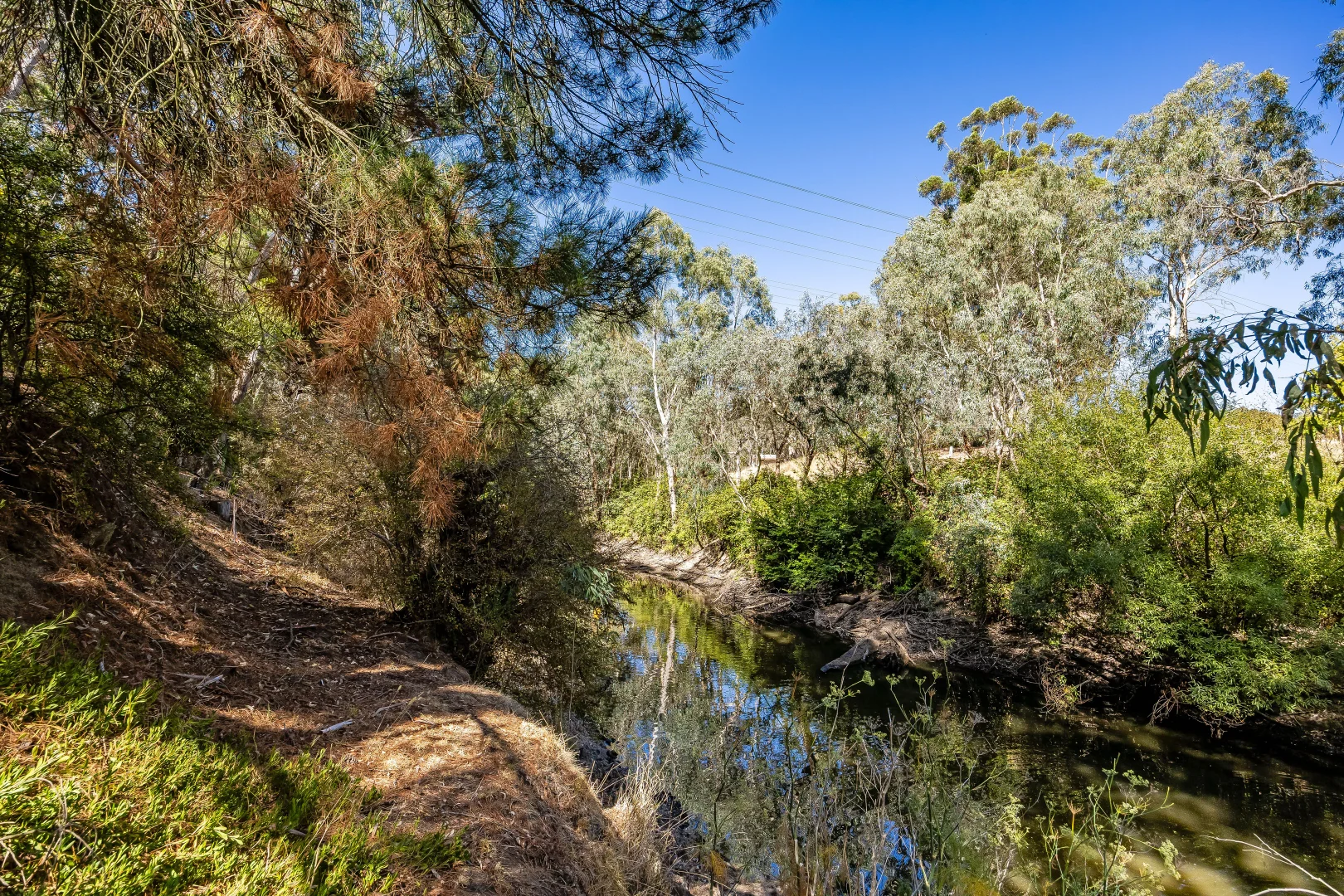 Additional image 79 of 158 Onkaparinga Valley Road, Verdun SA 5245