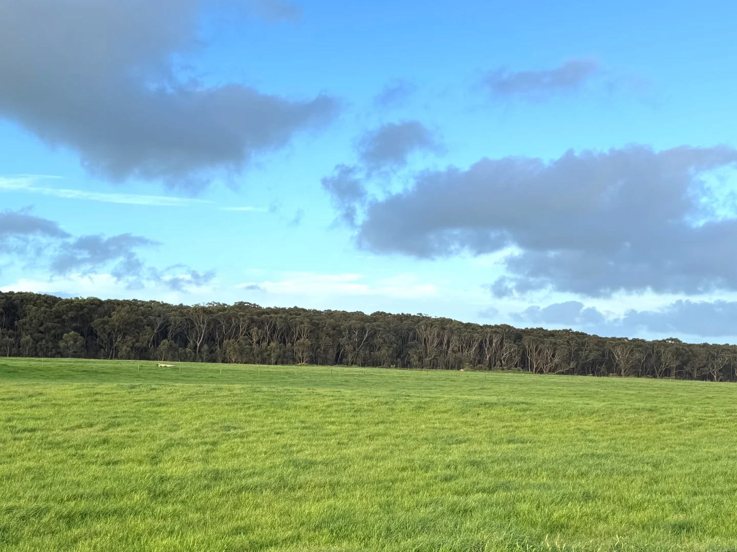 Additional image 2 of 29 Cowens Lane, Nirranda East VIC 3268