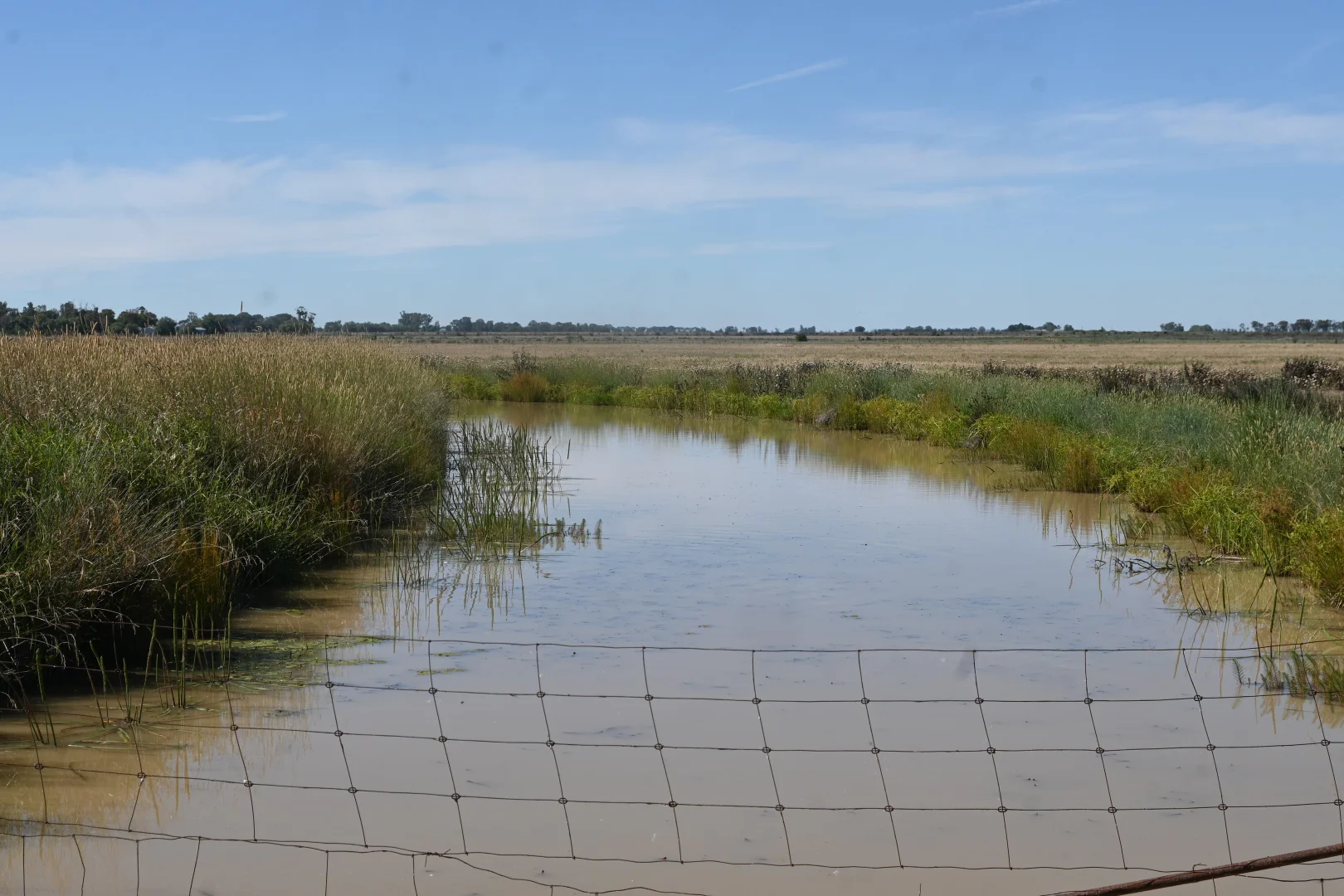 Additional image 32 of 594 Tragowel Road, Tragowel VIC 3579