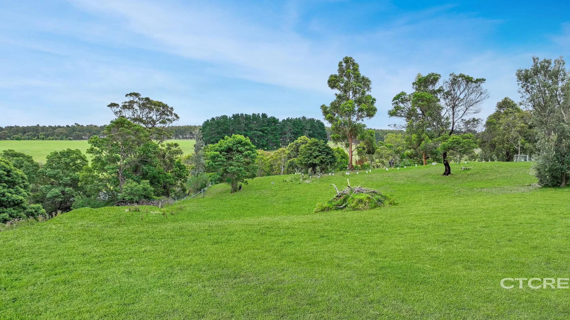 Additional image 7 of 1 Patrick Grove, Metung VIC 3904