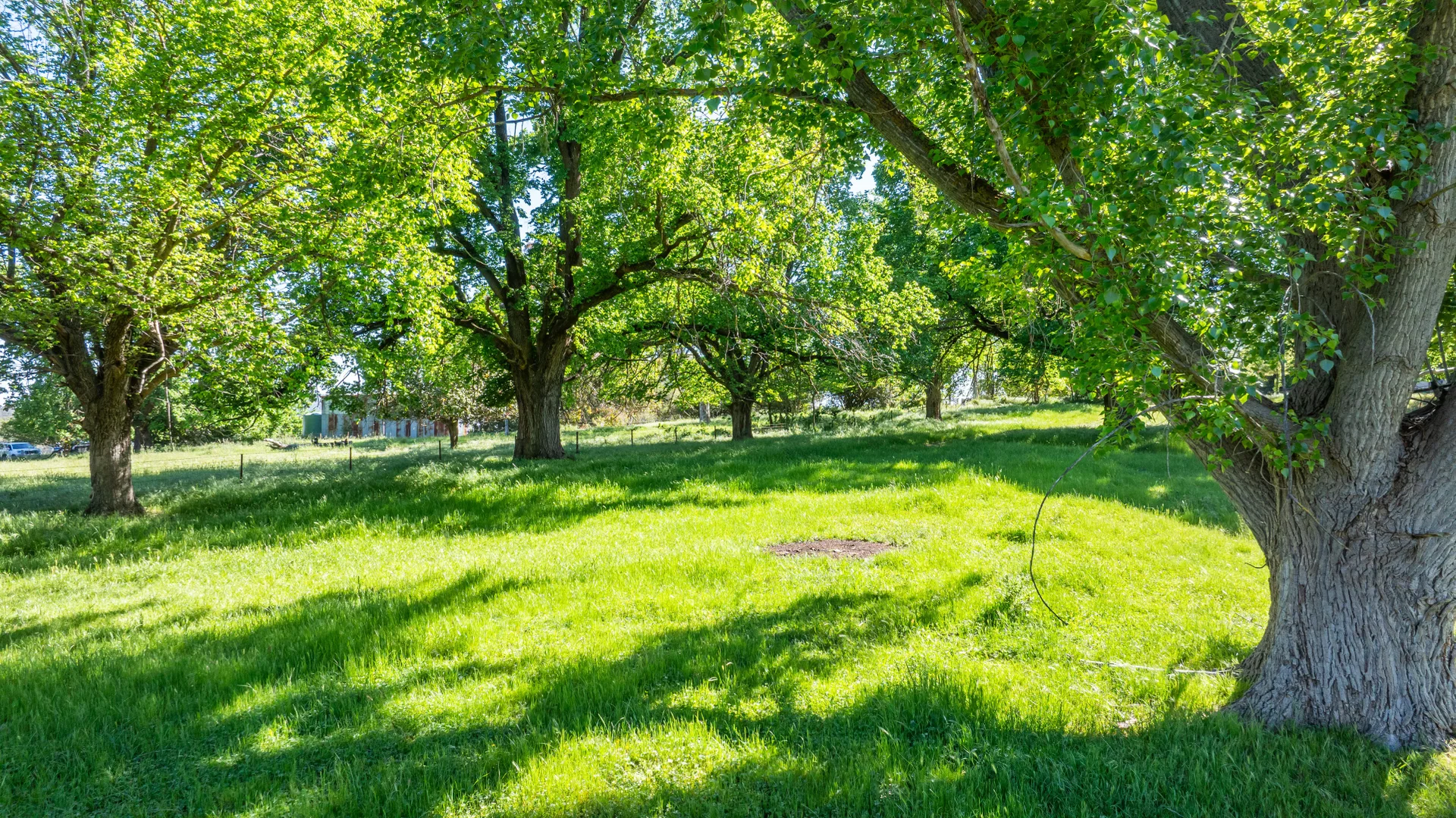 Additional image 6 of 60 Darmodys Road, Leneva VIC 3691