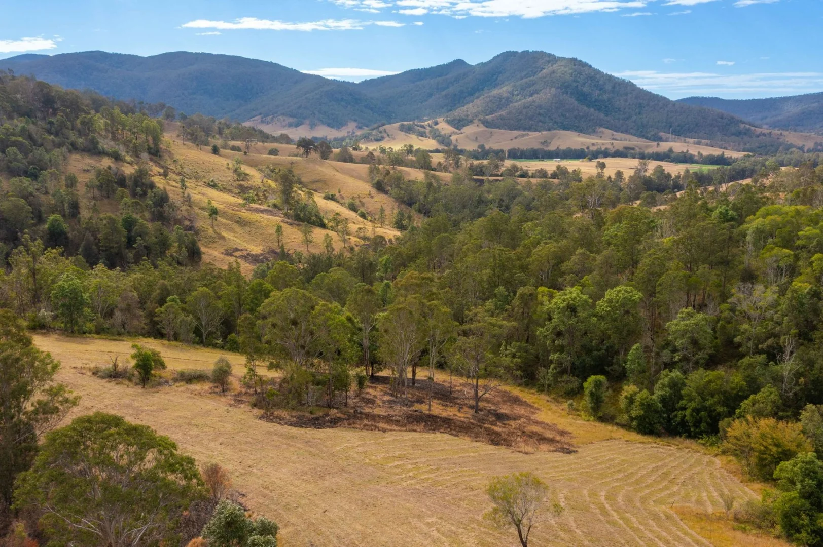 Additional image 5 of Lot 24 209 Tobins River Road, Mount Seaview NSW 2446