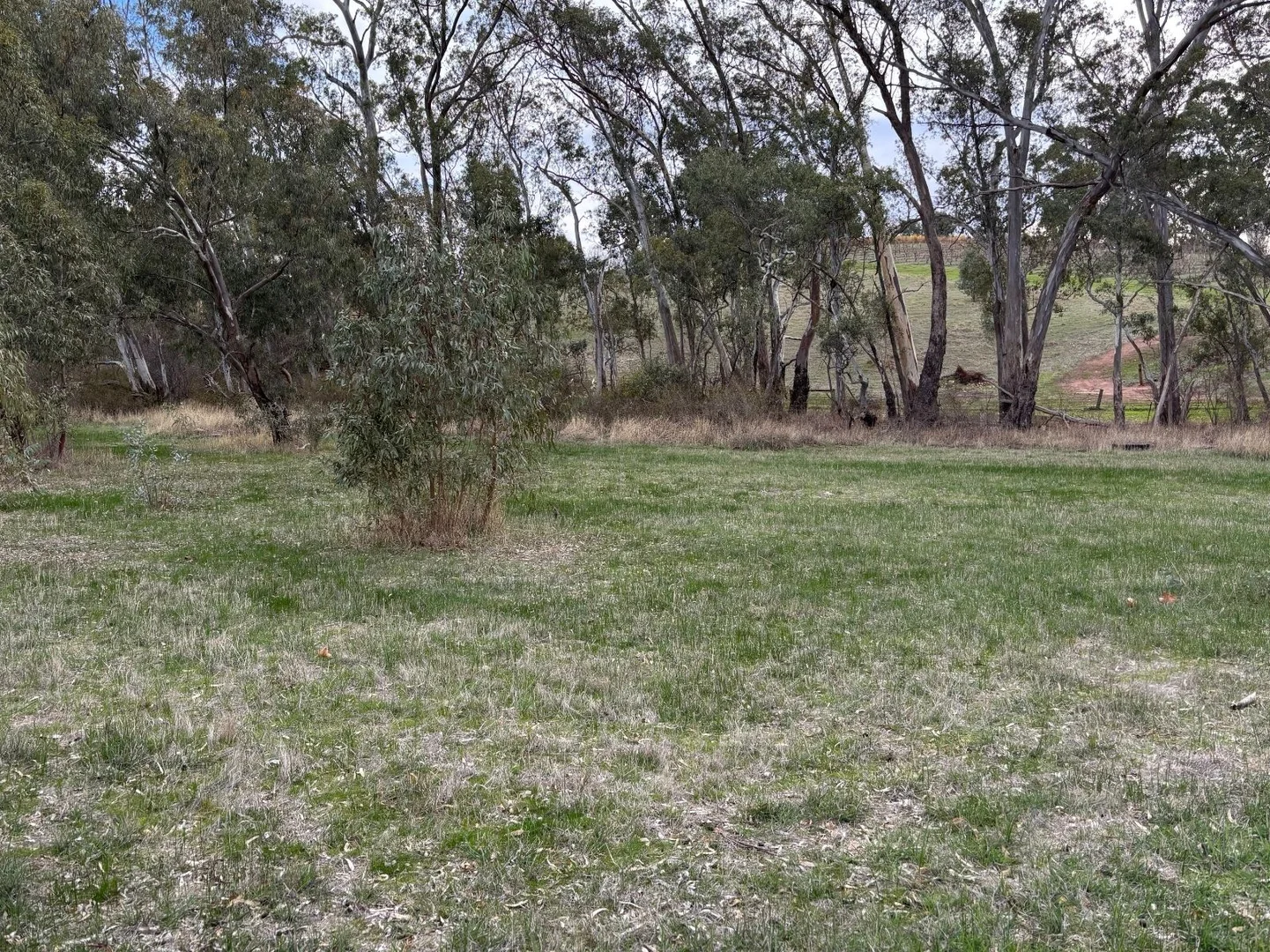 Additional image 6 of 102 Sawmill Road, Sevenhill SA 5453