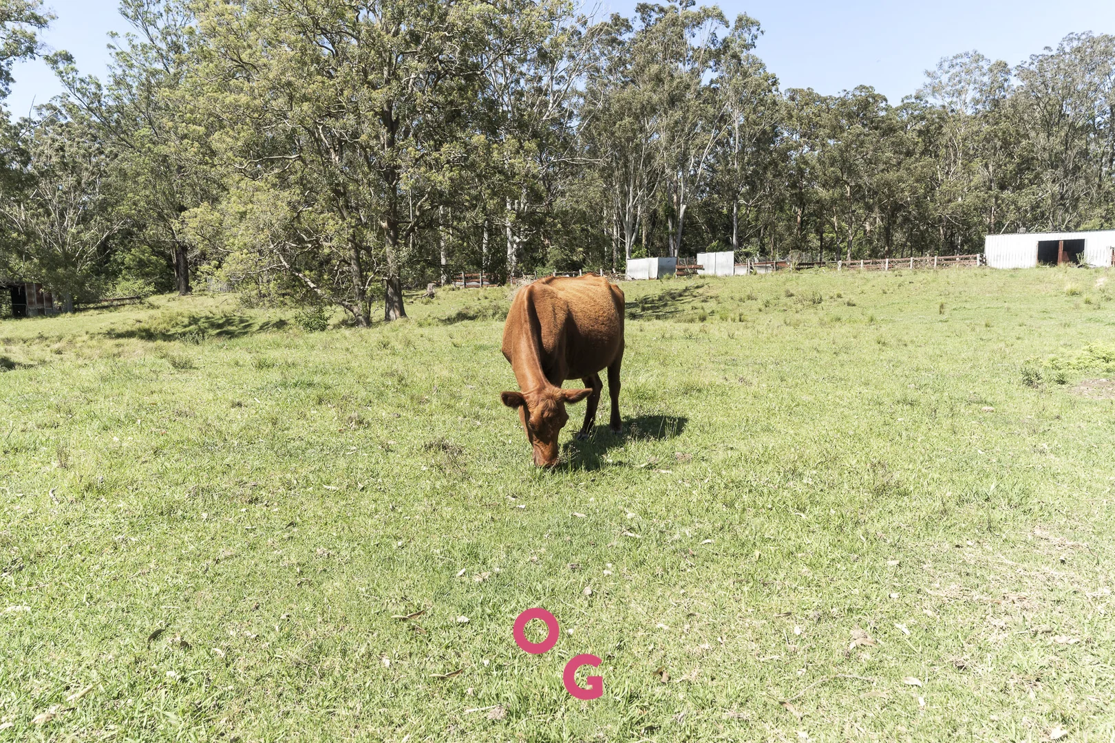 Additional image 49 of 136 Limeburners Creek Road, Limeburners Creek NSW 2324