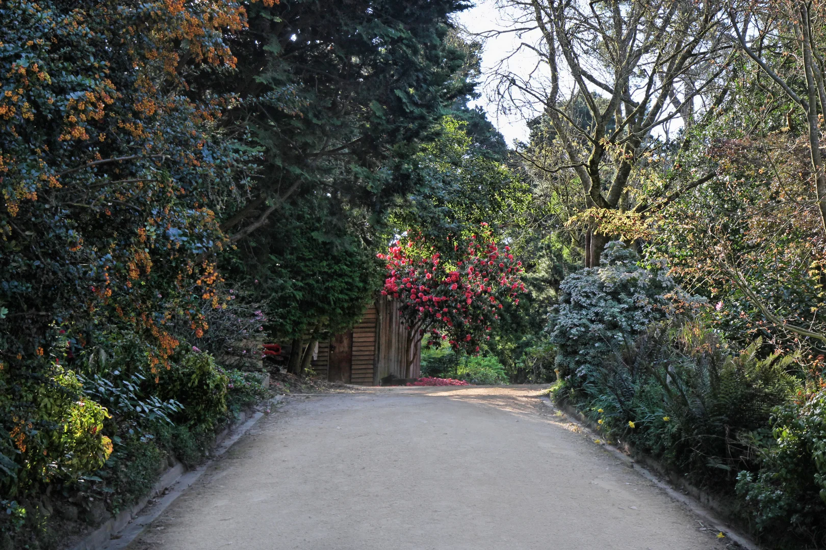 Additional image 22 of 131 Shannons Lane, Kerrie VIC 3434