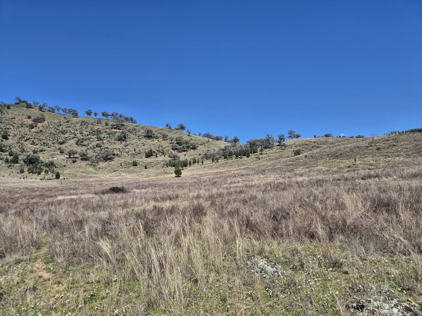 Additional image 10 of 46 Worlds End Rd, Yarrabin NSW 2850