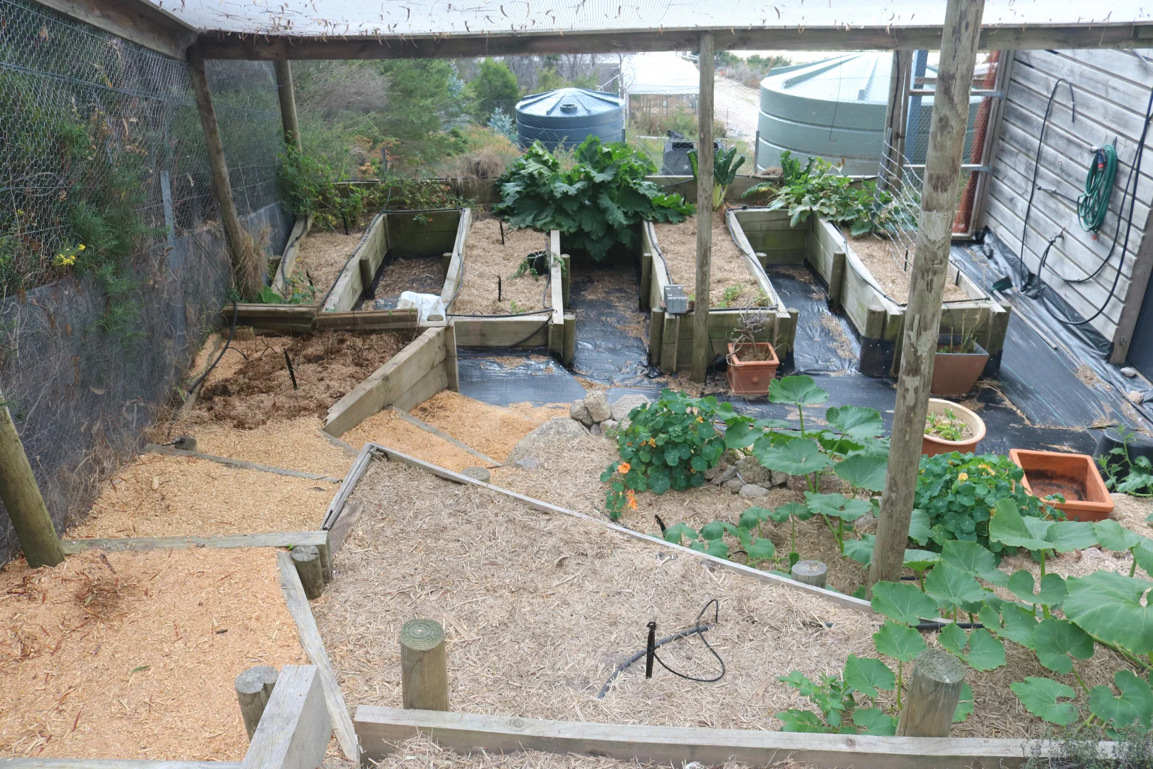 Additional image 5 of 533 Killiecrankie Road, Killiecrankie TAS 7255