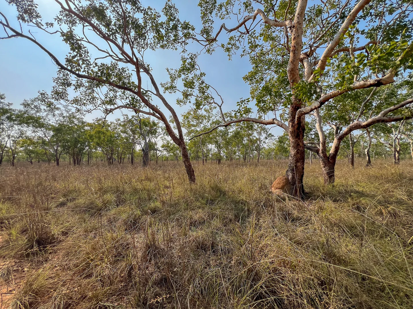 Additional image 4 of 576 McAdam Road, Katherine NT 0850