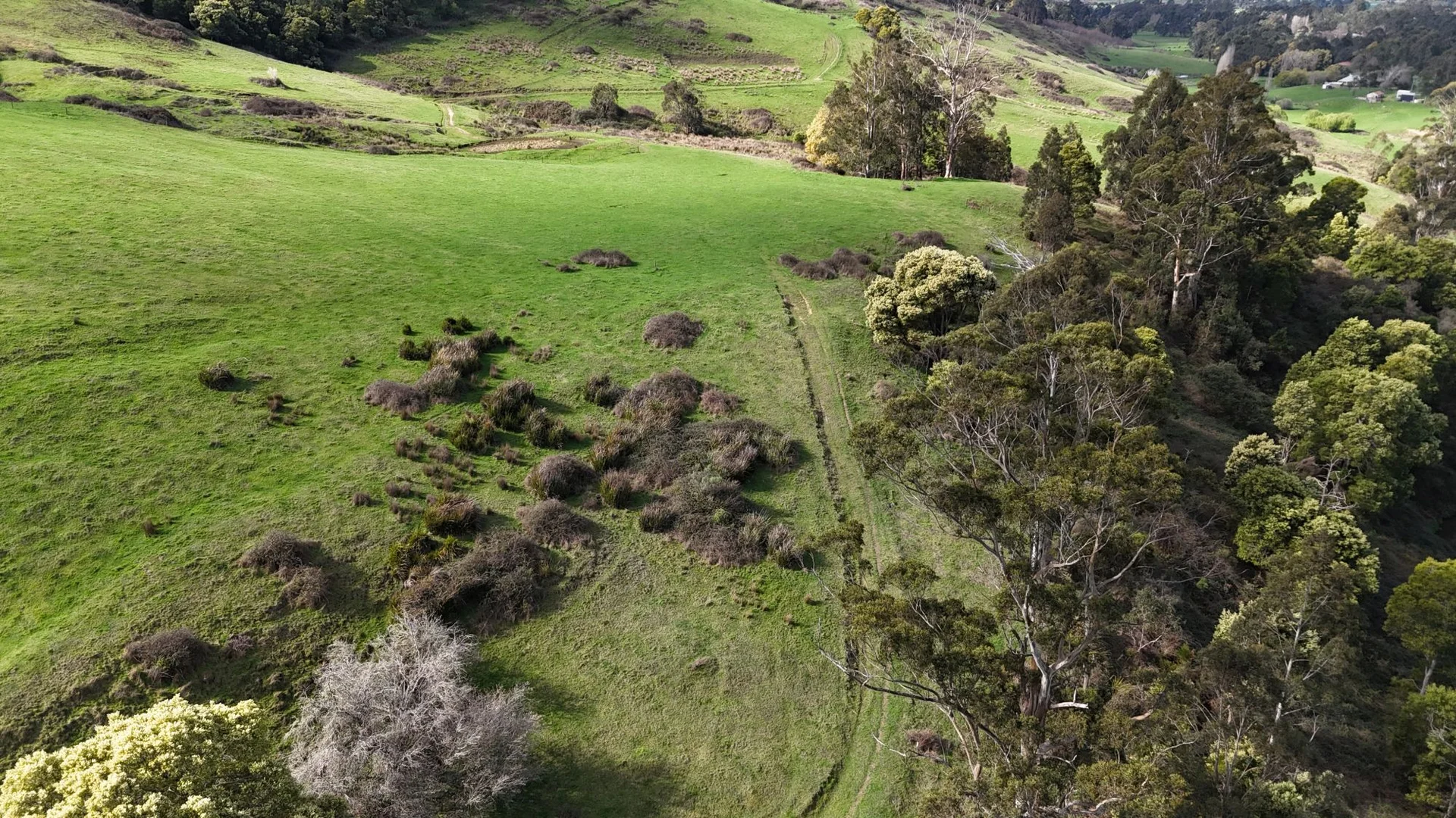 Additional image 29 of 141 BUNDERRA DRIVE, Boolarra VIC 3870