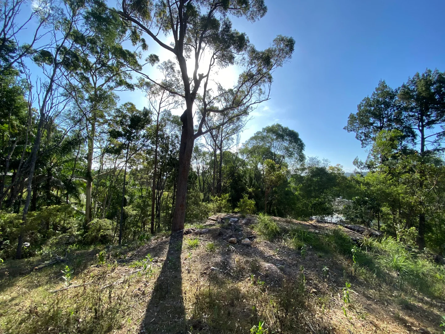 Additional image 7 of Maclean NSW 2463