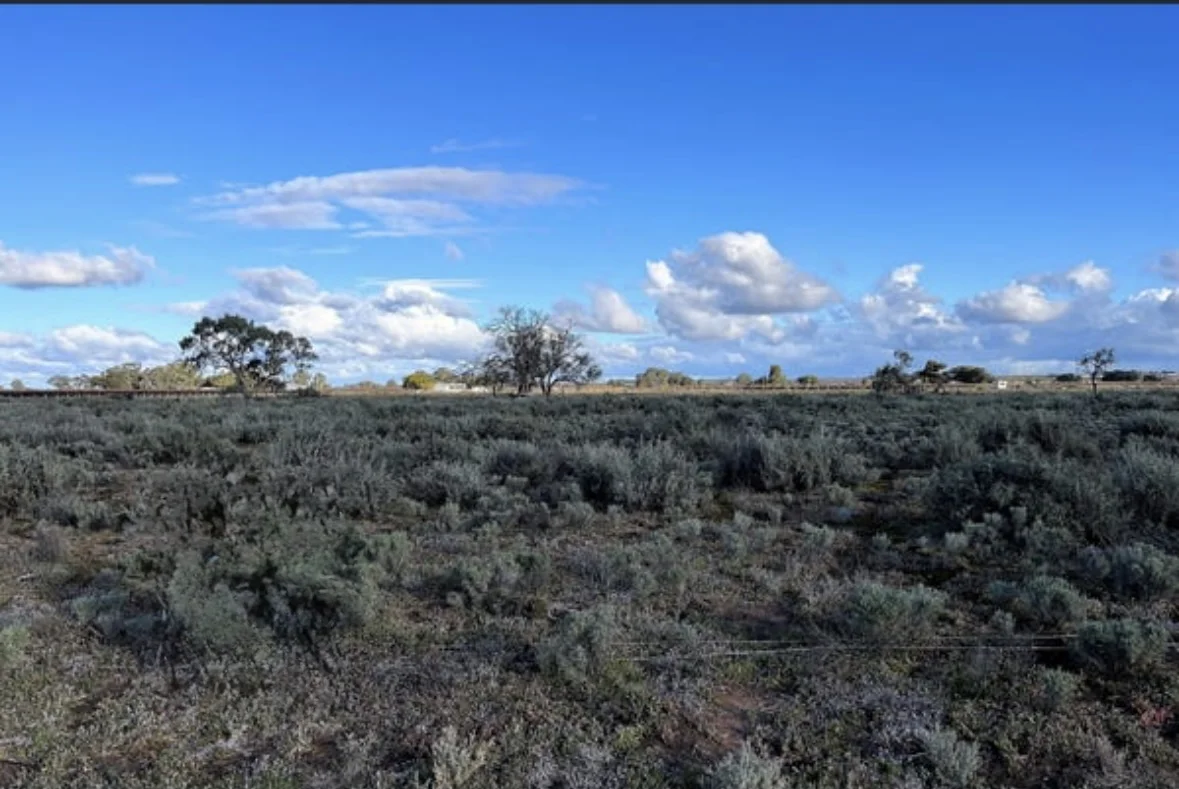 Additional image 5 of 39 Canal Road, Renmark SA 5341