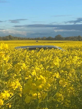 Additional image 6 of 1105 Coorow-Greenhead Road, Coorow WA 6515