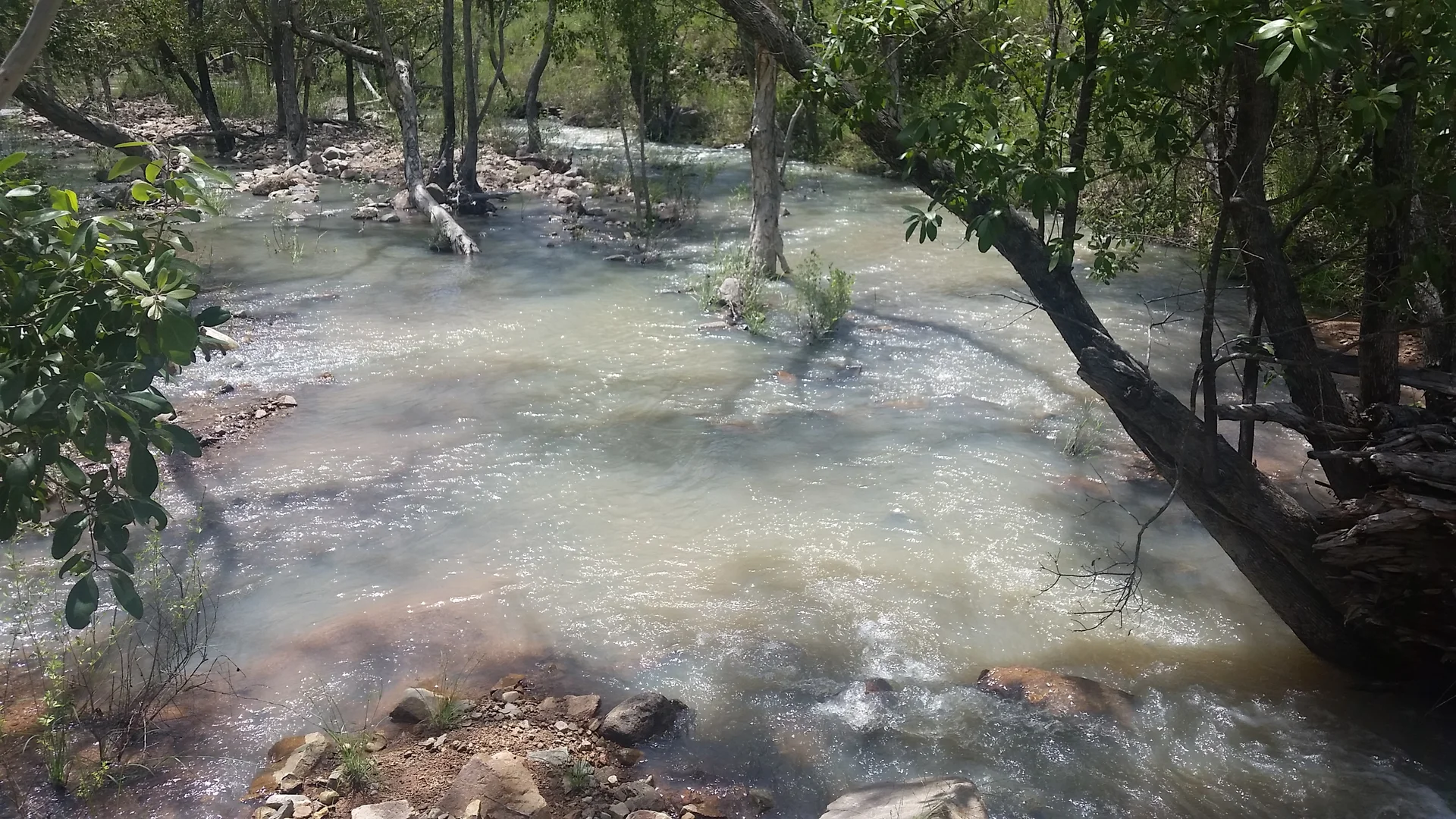 Additional image 14 of Lot 481 Sandy Creek Road, Dimbulah QLD 4872