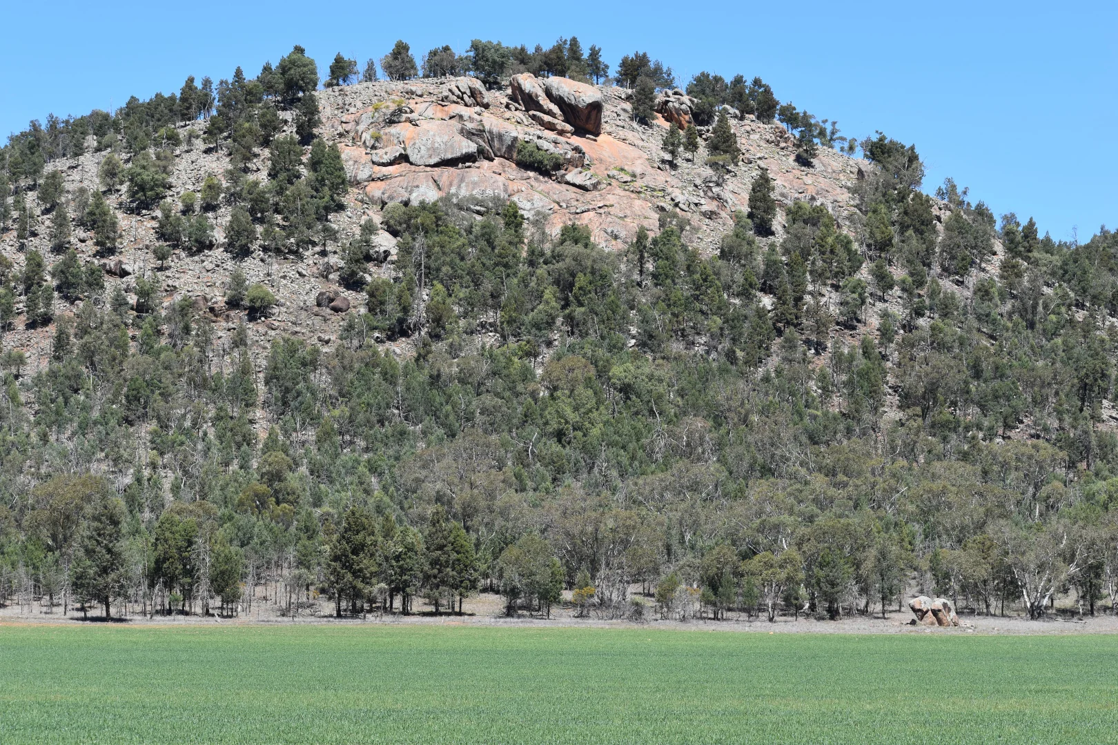 Additional image 14 of 120 Ganantagi Road, Yarrabandai NSW 2875