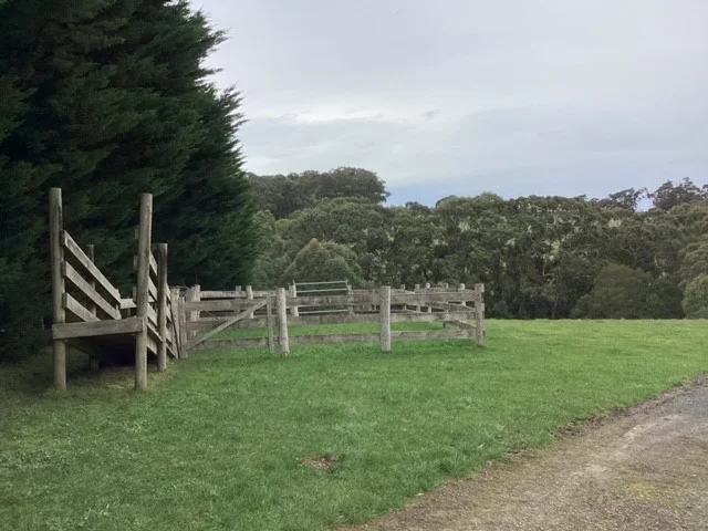 Additional image 4 of 236 Morrisons Lane, Korobeit VIC 3341